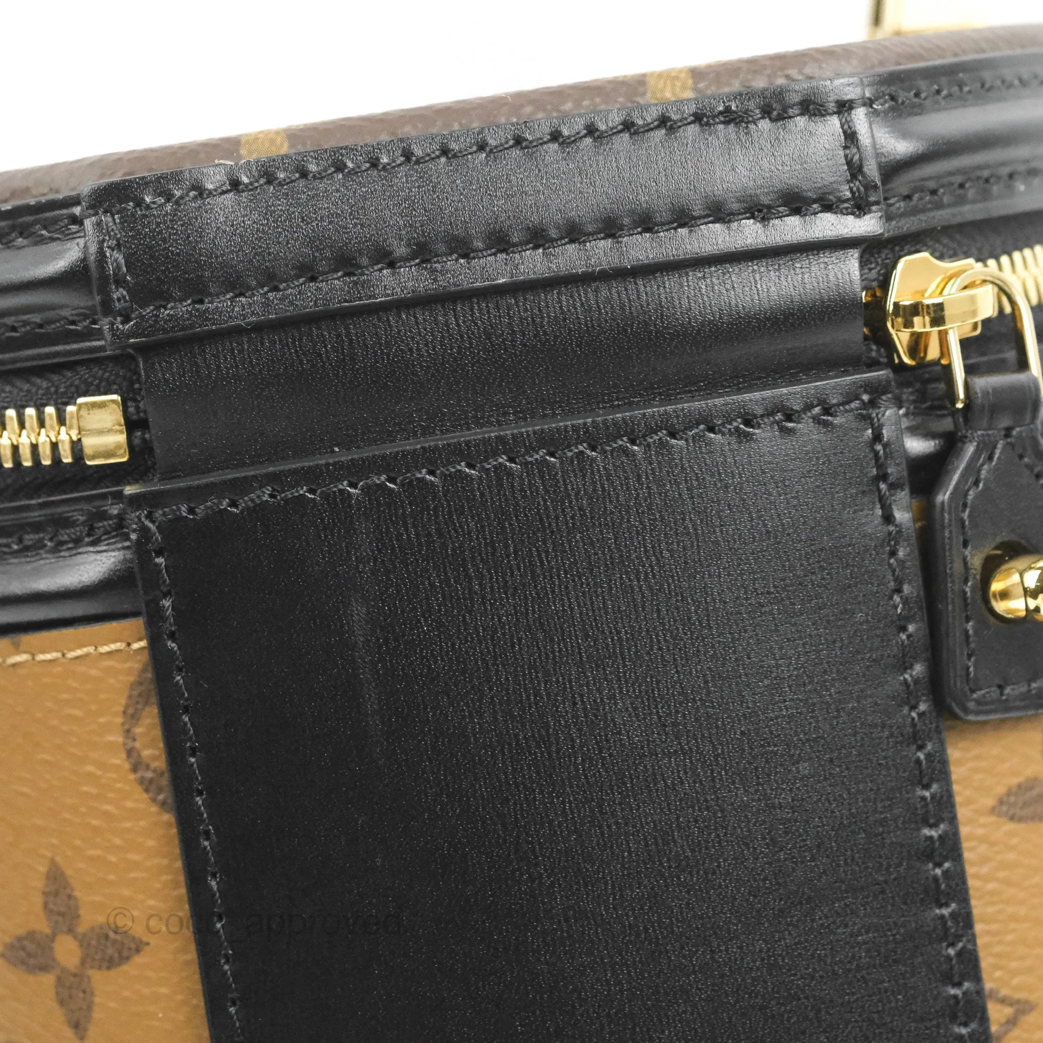 Louis Vuitton Monogram Canvas Reverse Cannes Bag