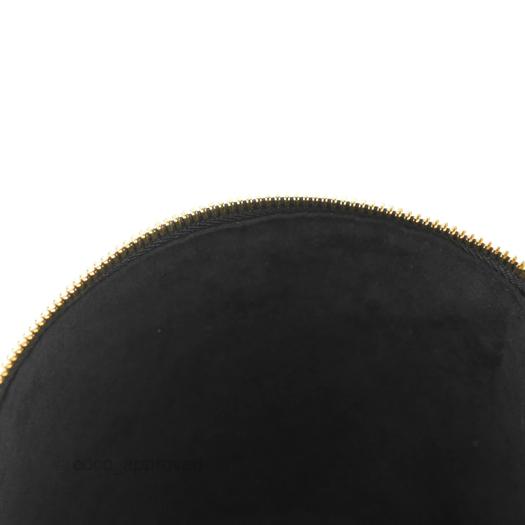 Louis Vuitton Monogram Canvas Reverse Cannes Bag