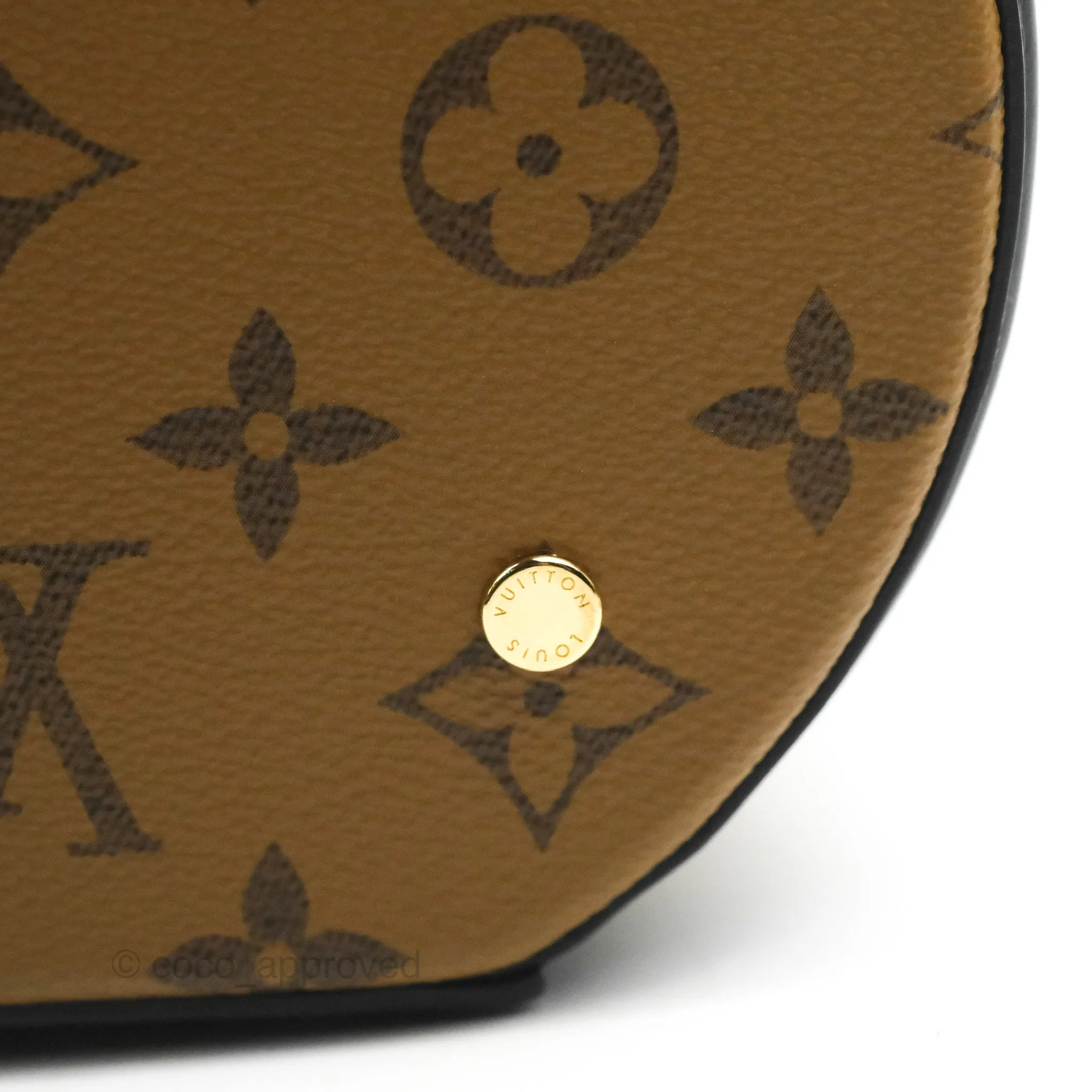 Louis Vuitton Monogram Canvas Reverse Cannes Bag