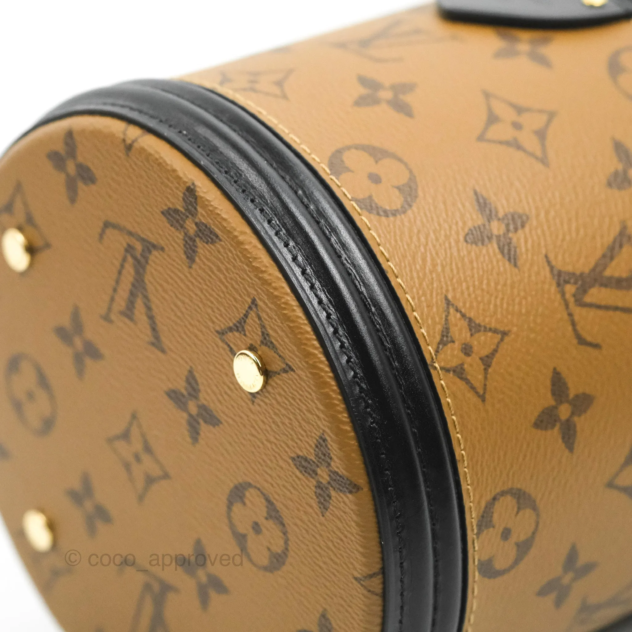 Louis Vuitton Monogram Canvas Reverse Cannes Bag