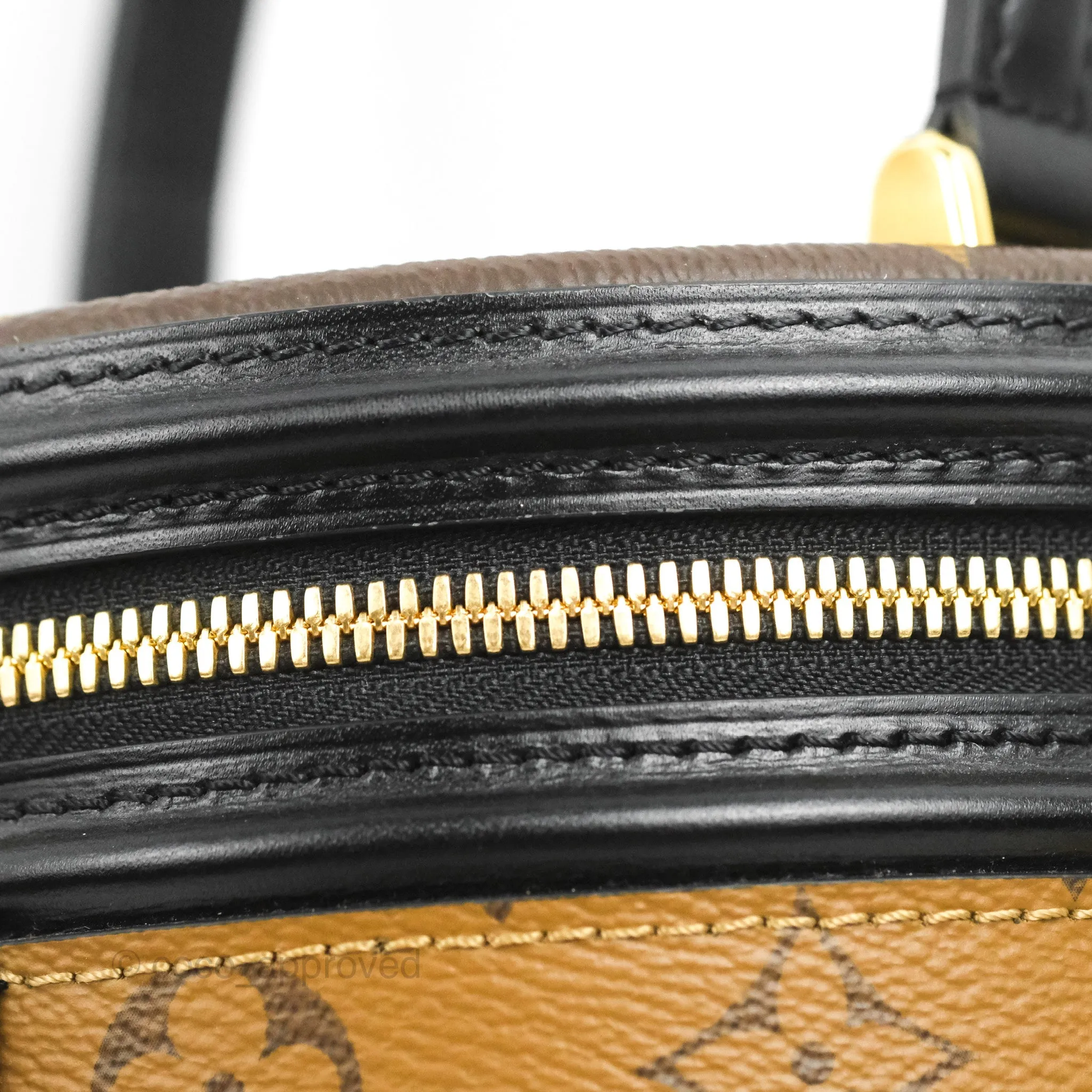Louis Vuitton Monogram Canvas Reverse Cannes Bag