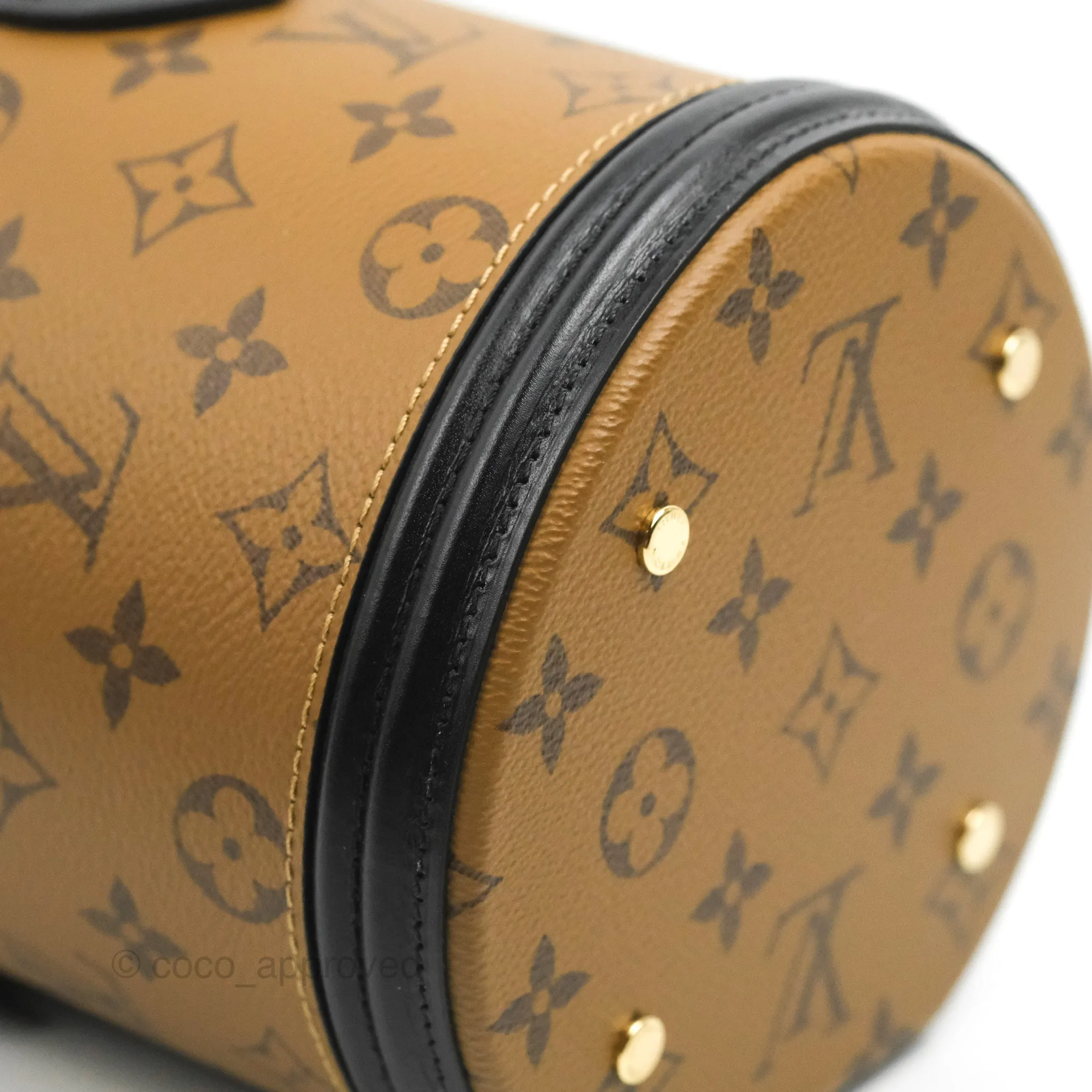 Louis Vuitton Monogram Canvas Reverse Cannes Bag