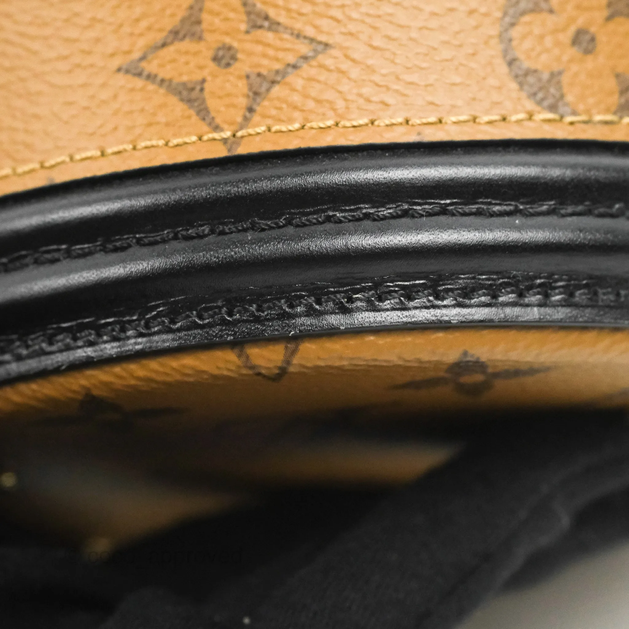 Louis Vuitton Monogram Canvas Reverse Cannes Bag