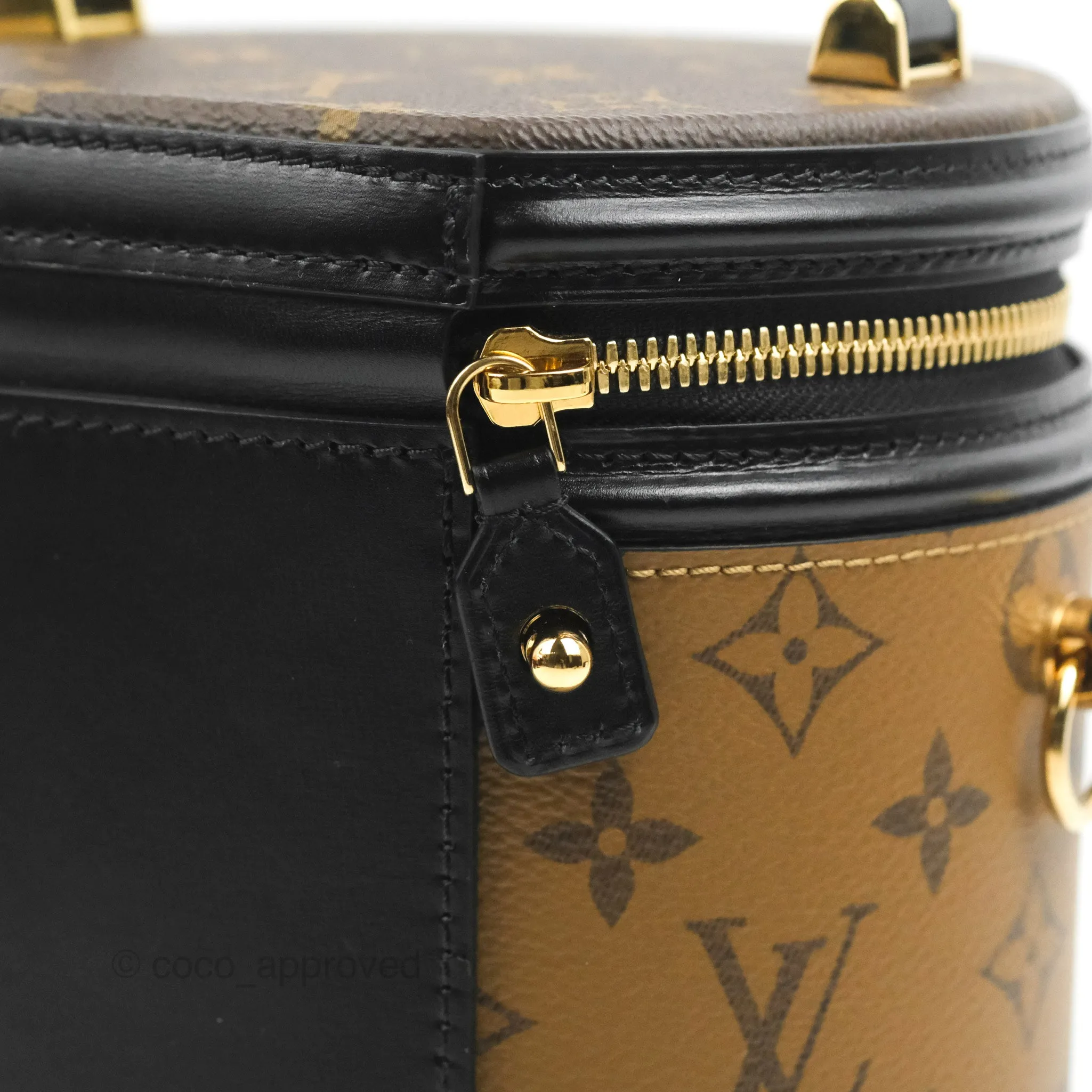 Louis Vuitton Monogram Canvas Reverse Cannes Bag