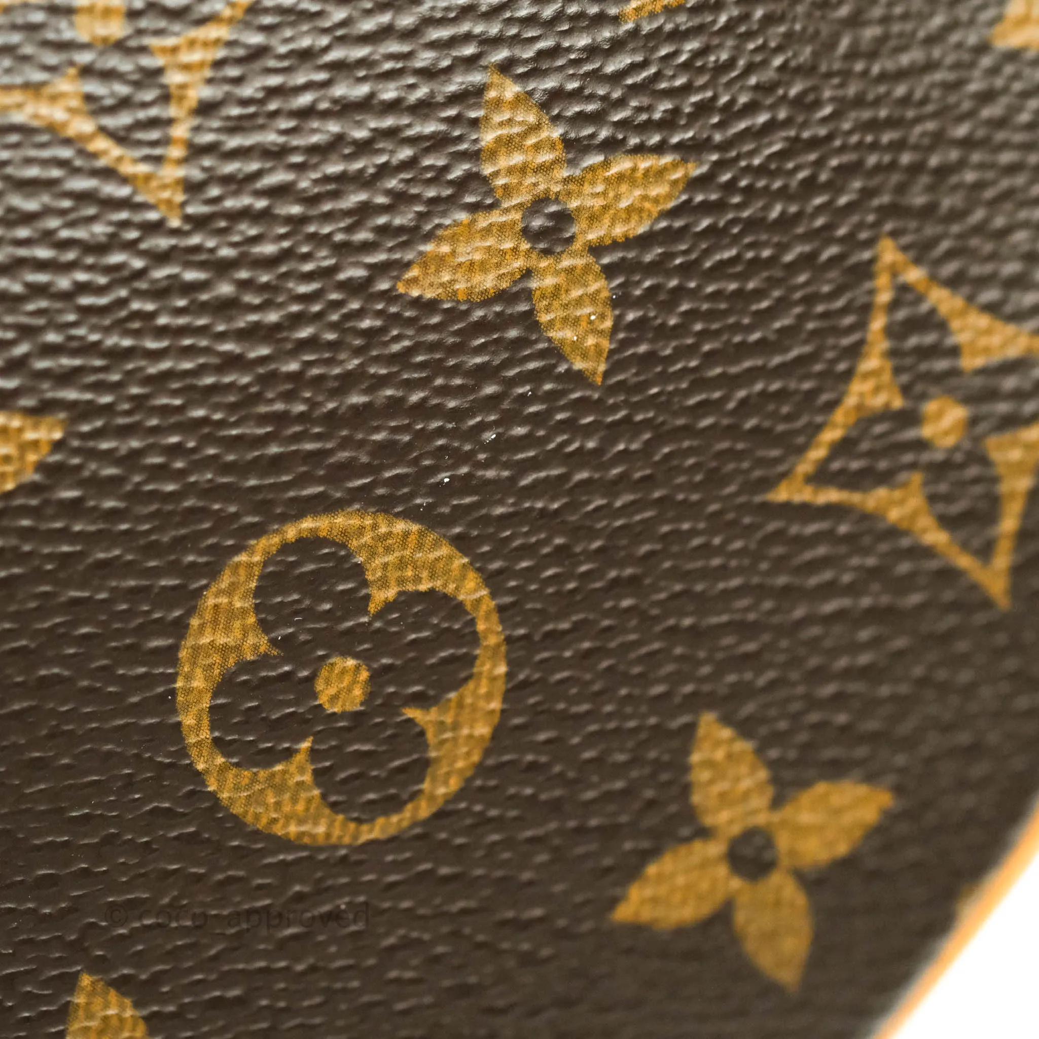 Louis Vuitton Monogram Canvas Saint Cloud Bag