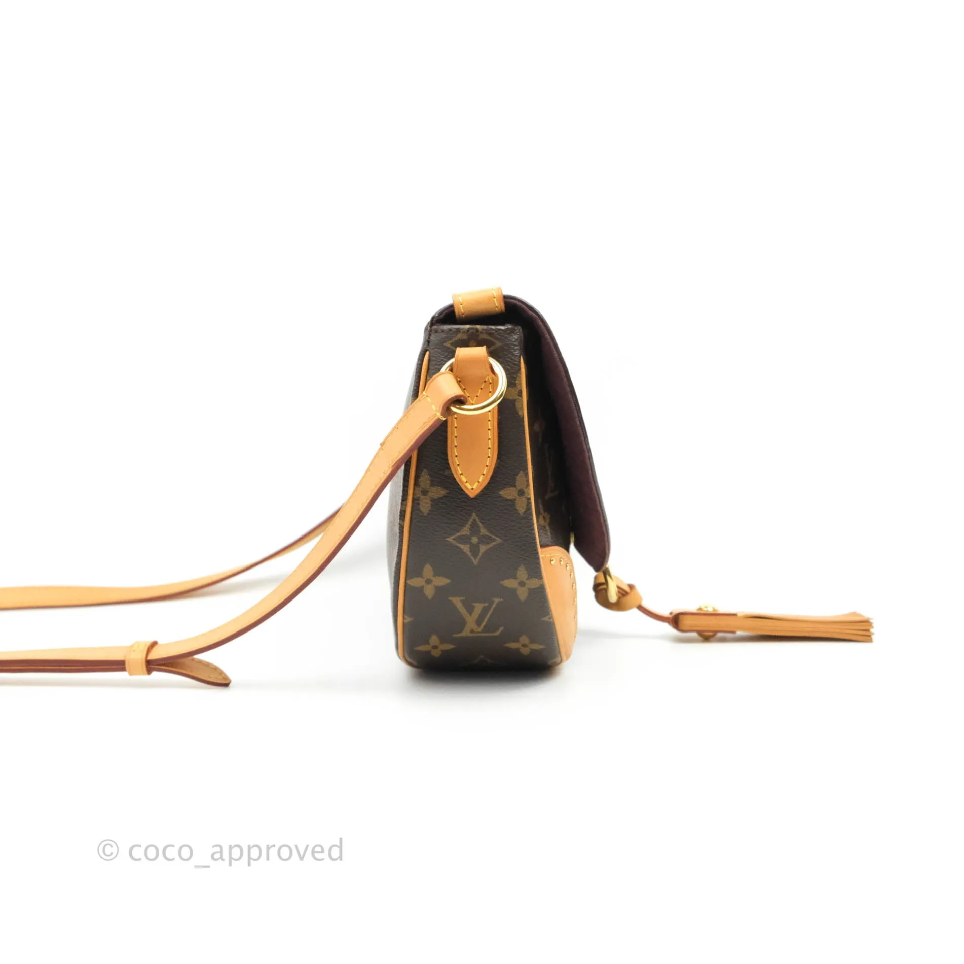 Louis Vuitton Monogram Canvas Saint Cloud Bag