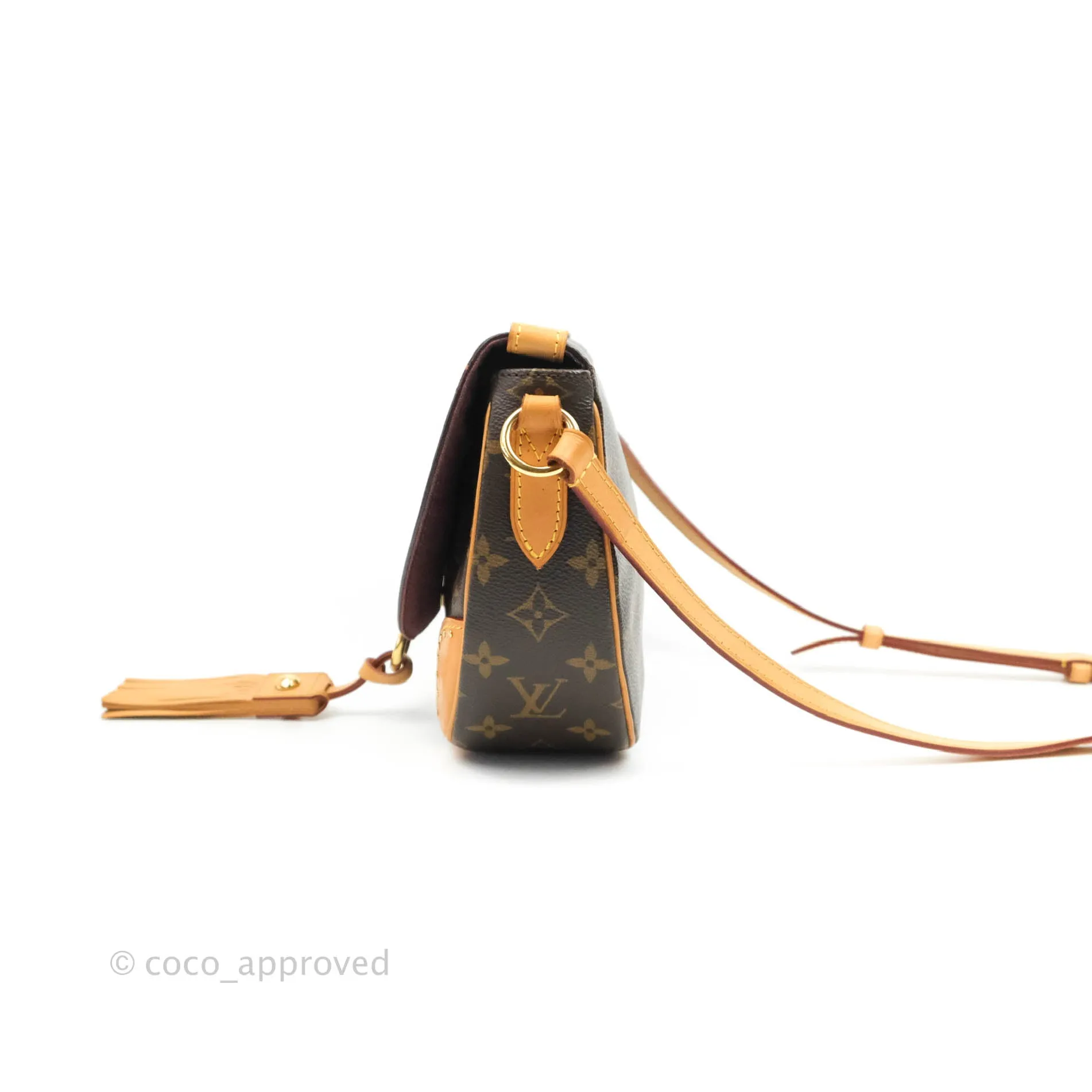Louis Vuitton Monogram Canvas Saint Cloud Bag