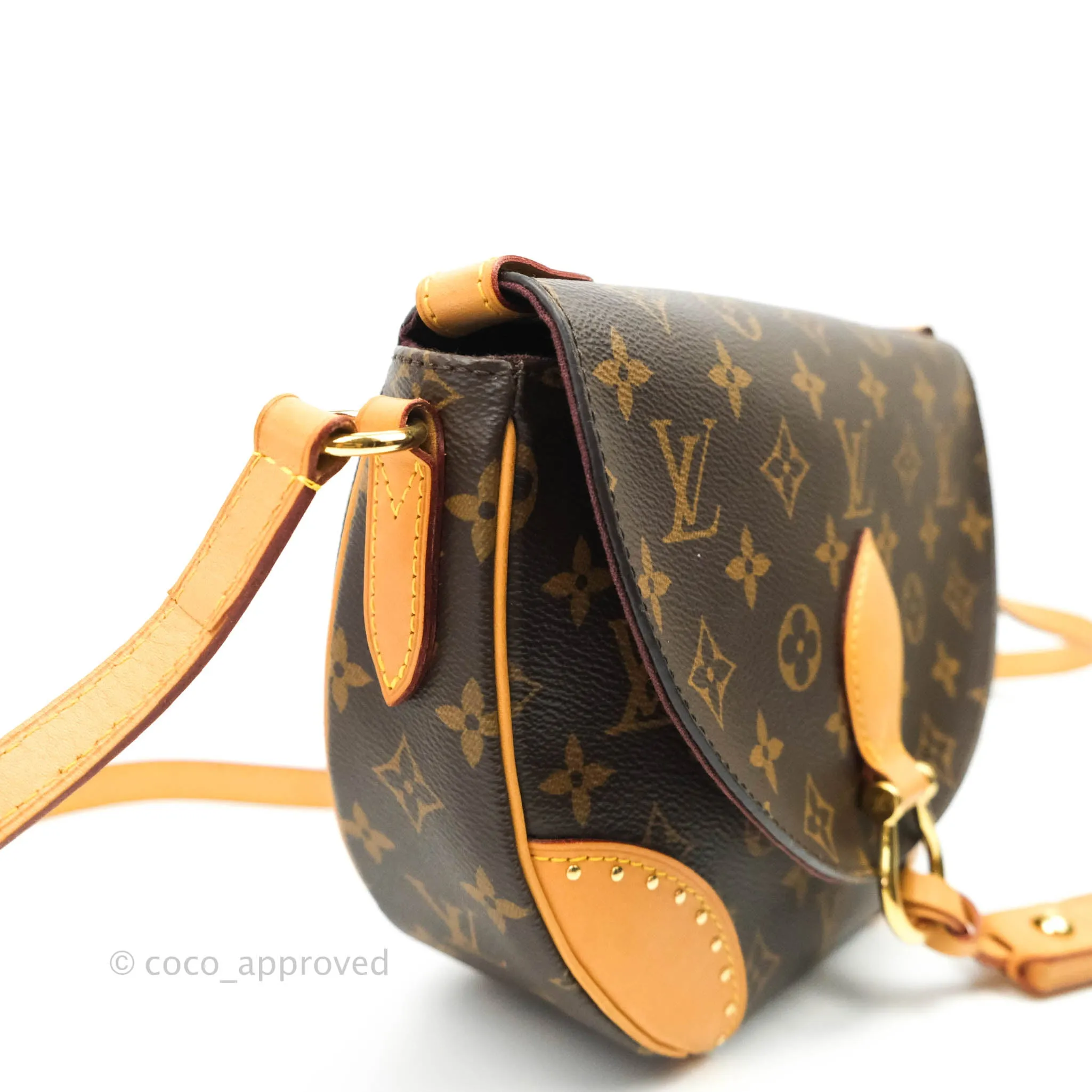Louis Vuitton Monogram Canvas Saint Cloud Bag