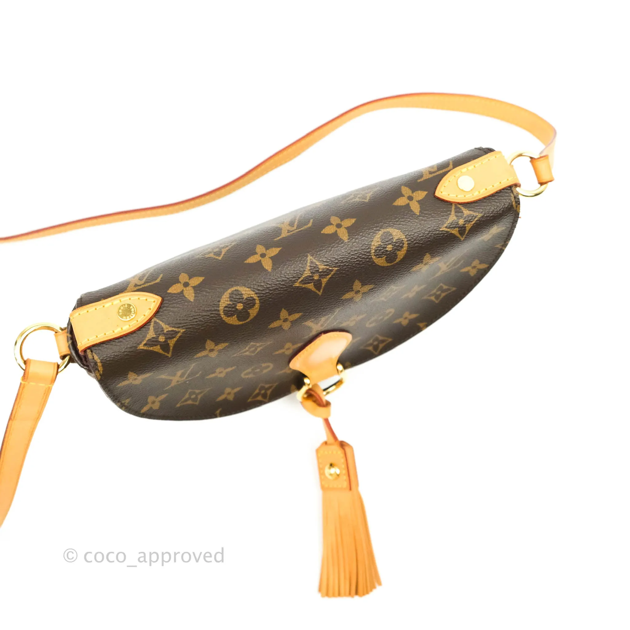 Louis Vuitton Monogram Canvas Saint Cloud Bag