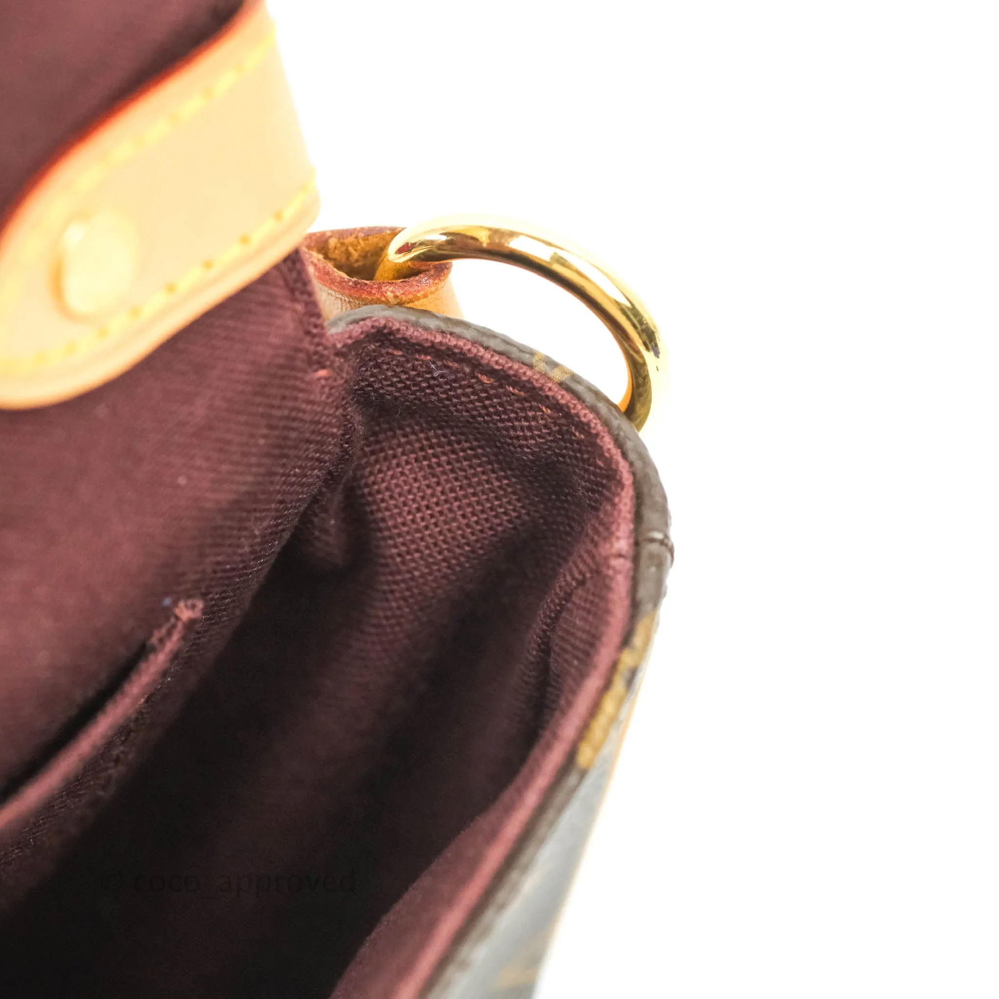 Louis Vuitton Monogram Canvas Saint Cloud Bag
