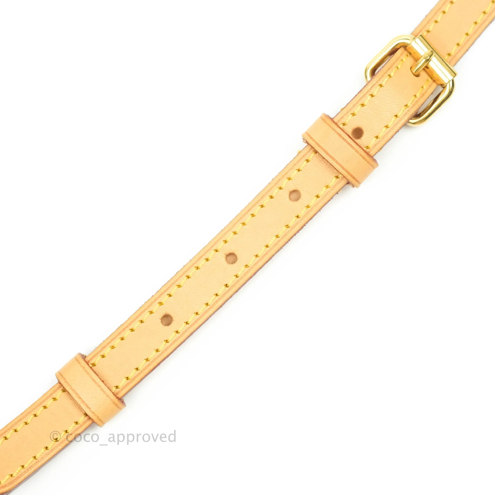 Louis Vuitton Monogram Canvas Saint Cloud Bag