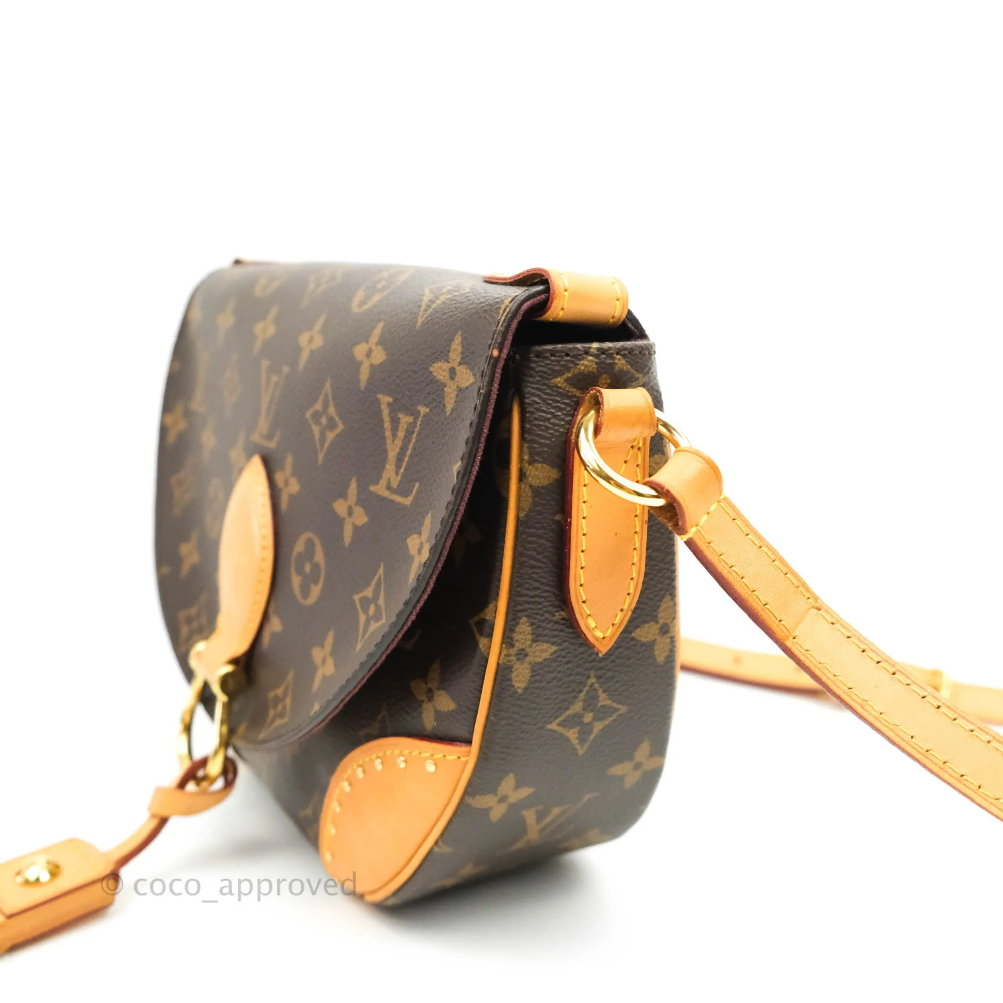 Louis Vuitton Monogram Canvas Saint Cloud Bag