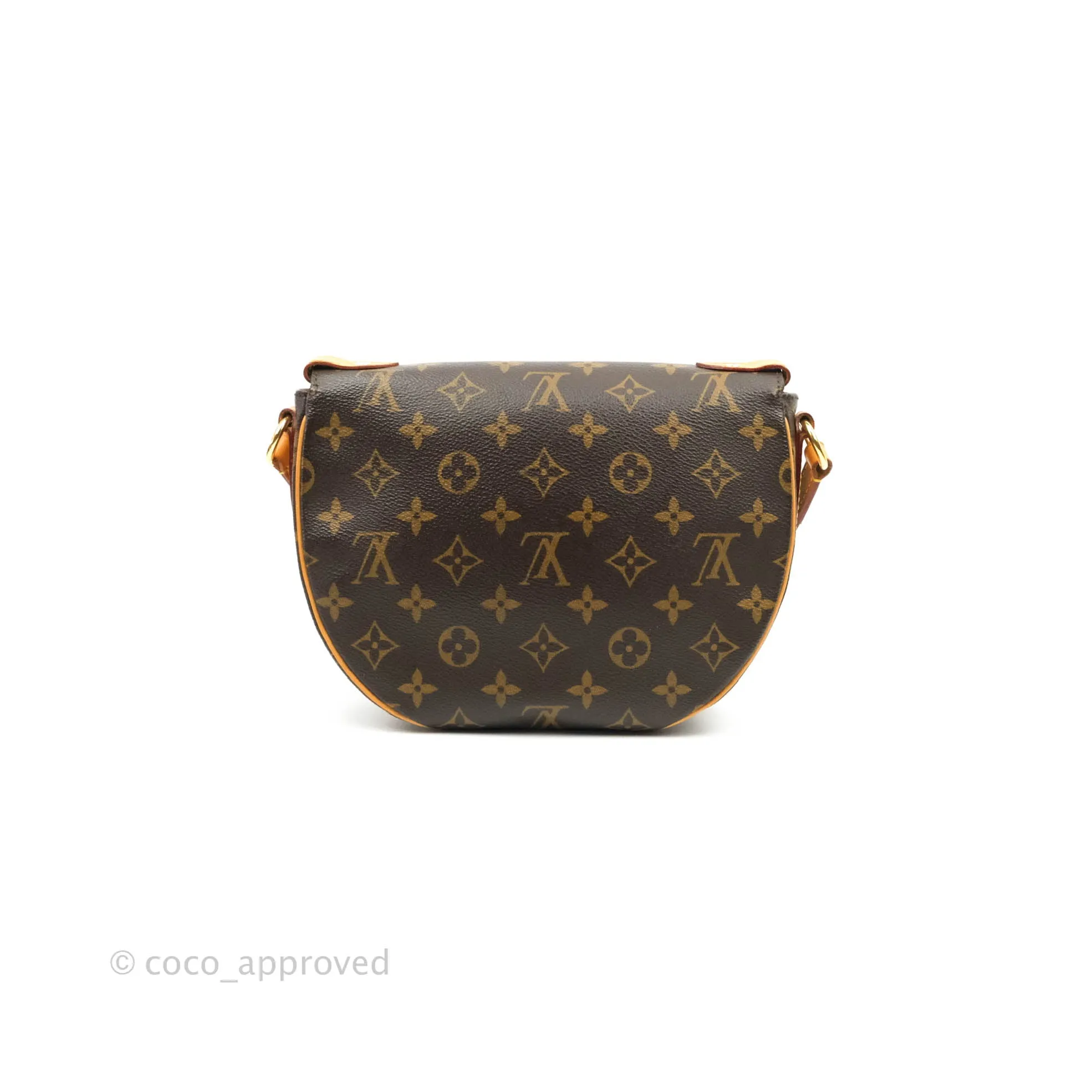 Louis Vuitton Monogram Canvas Saint Cloud Bag