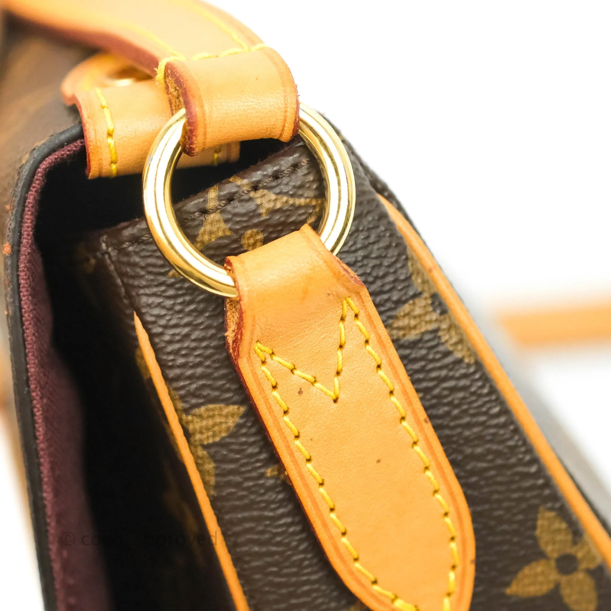 Louis Vuitton Monogram Canvas Saint Cloud Bag