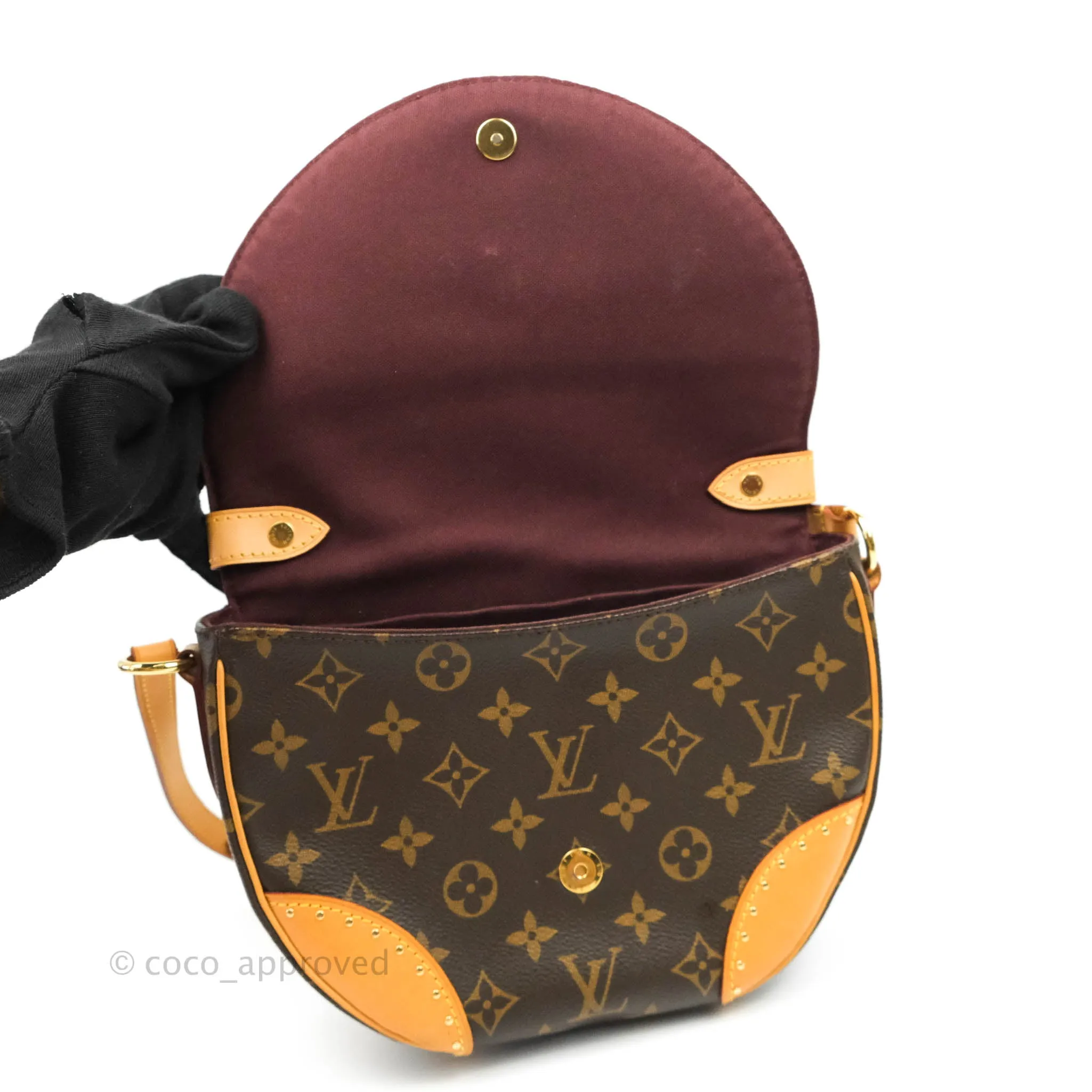Louis Vuitton Monogram Canvas Saint Cloud Bag