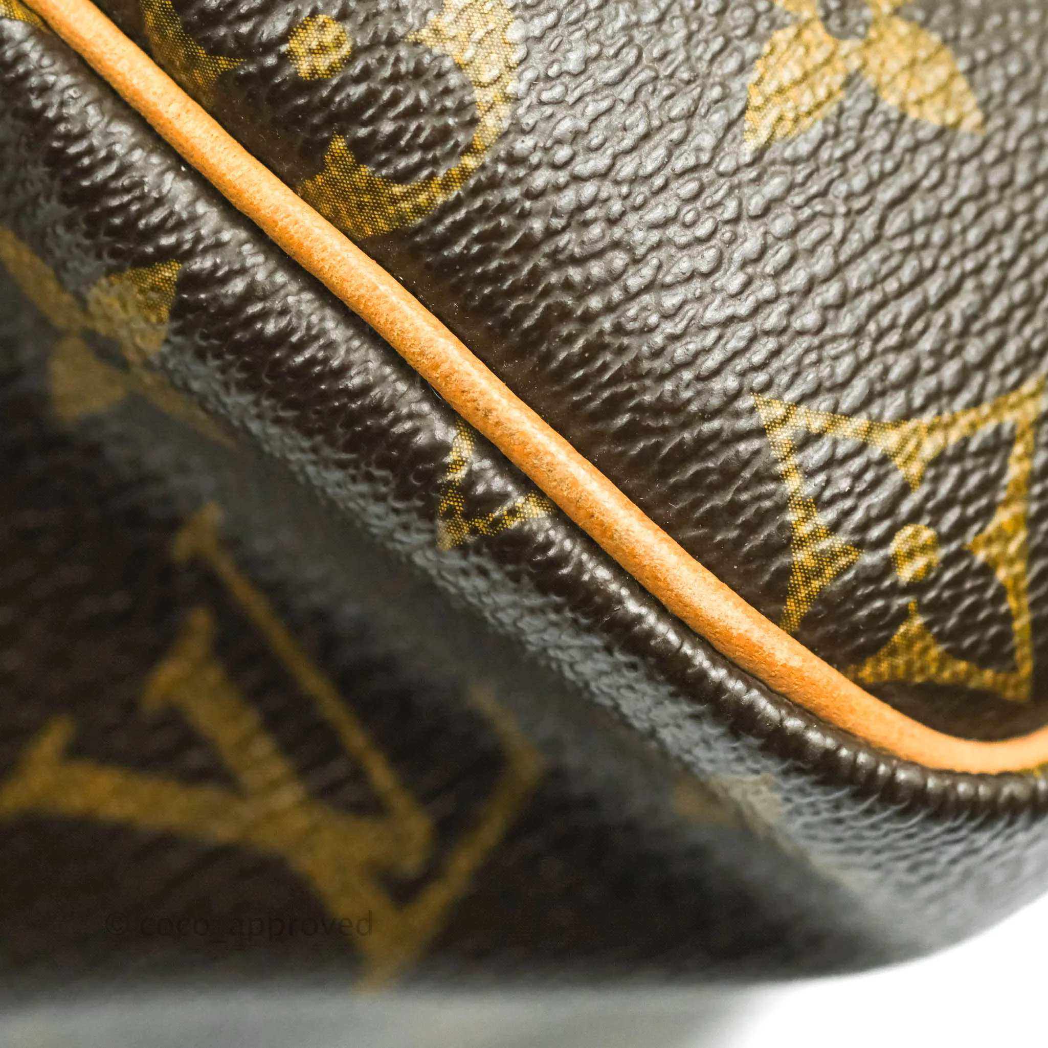 Louis Vuitton Monogram Canvas Speedy 30