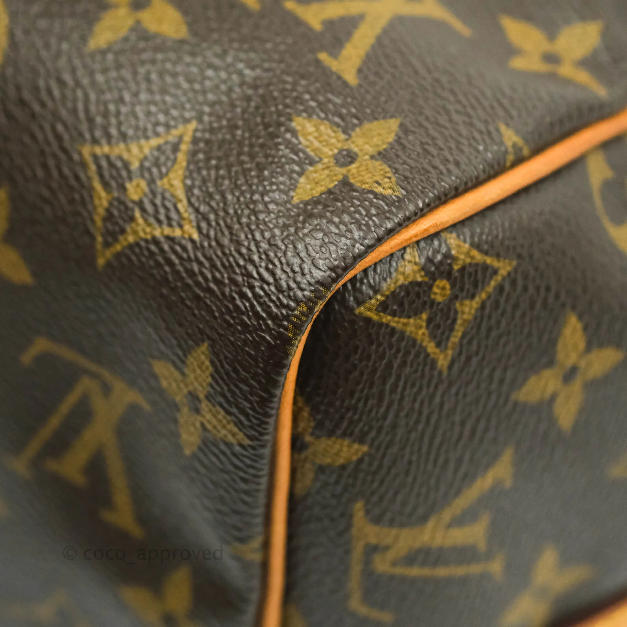 Louis Vuitton Monogram Canvas Speedy 30