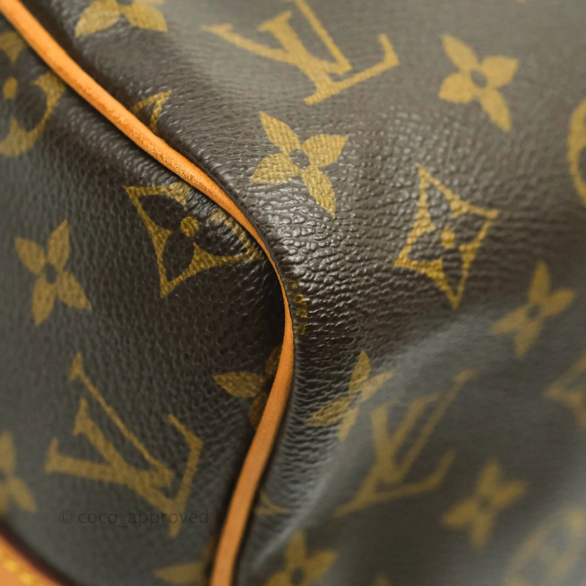 Louis Vuitton Monogram Canvas Speedy 30