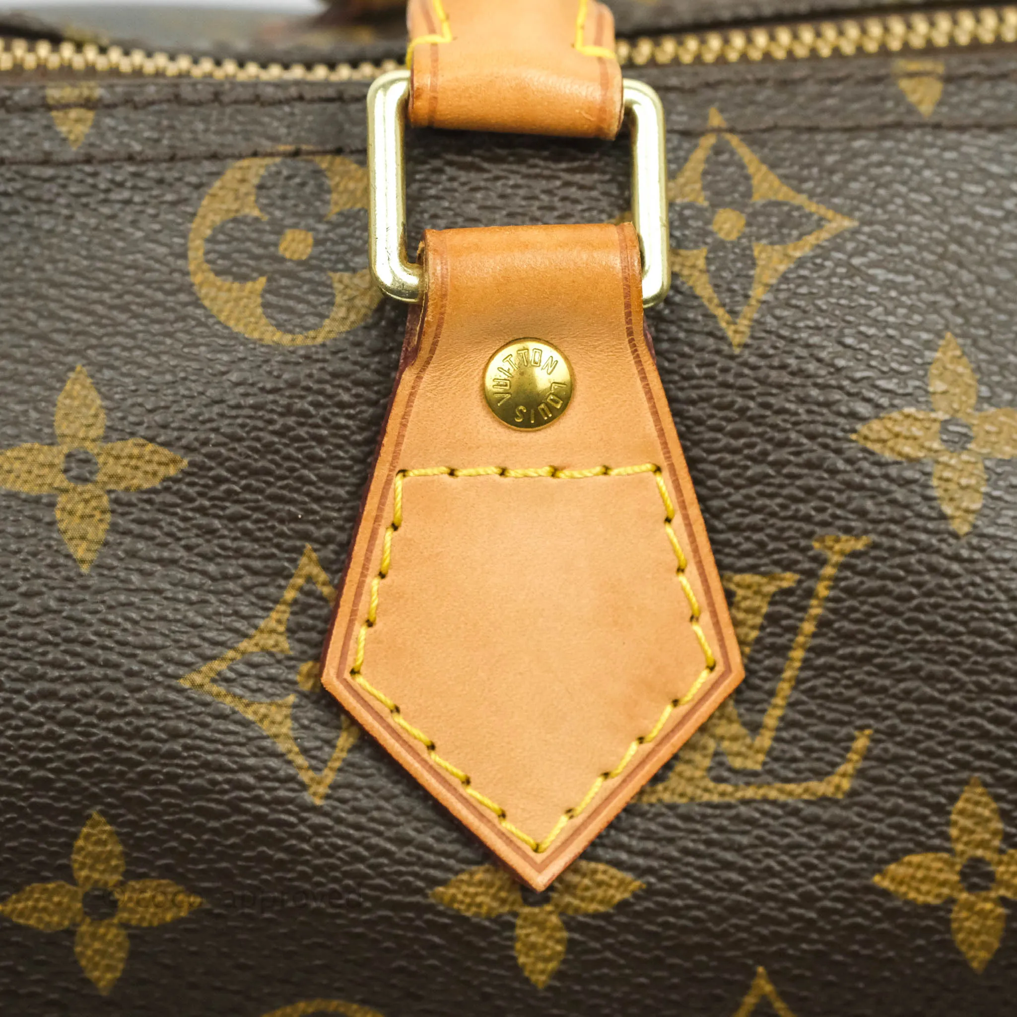 Louis Vuitton Monogram Canvas Speedy 30