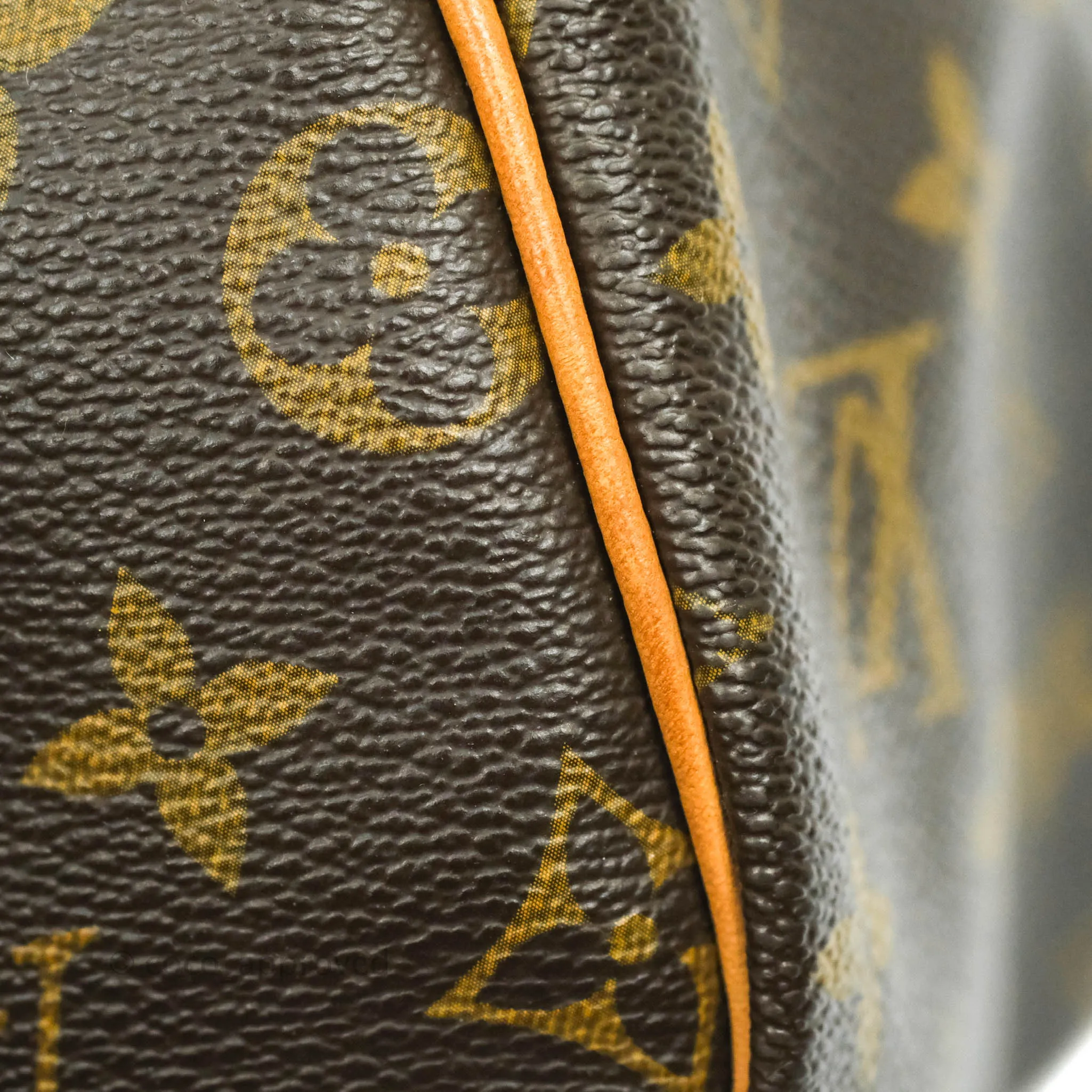 Louis Vuitton Monogram Canvas Speedy 30