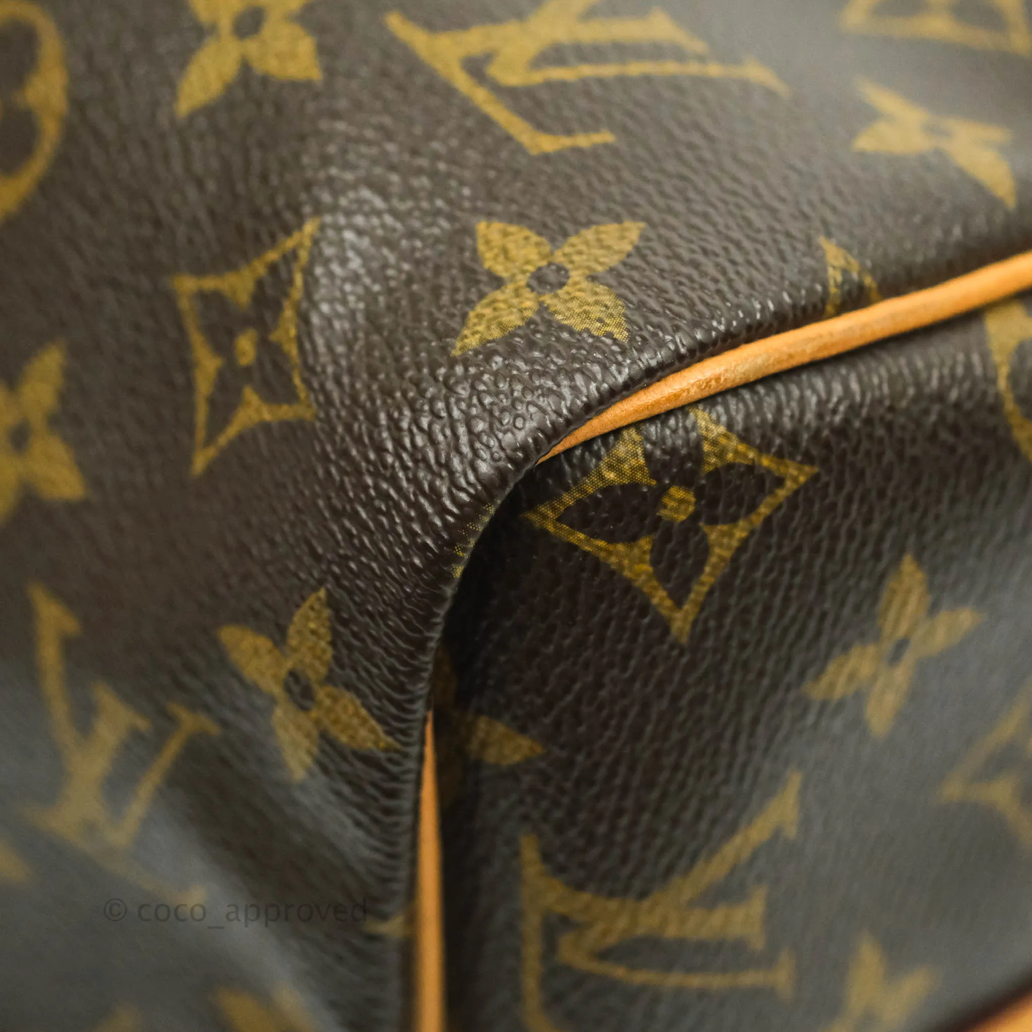 Louis Vuitton Monogram Canvas Speedy 30