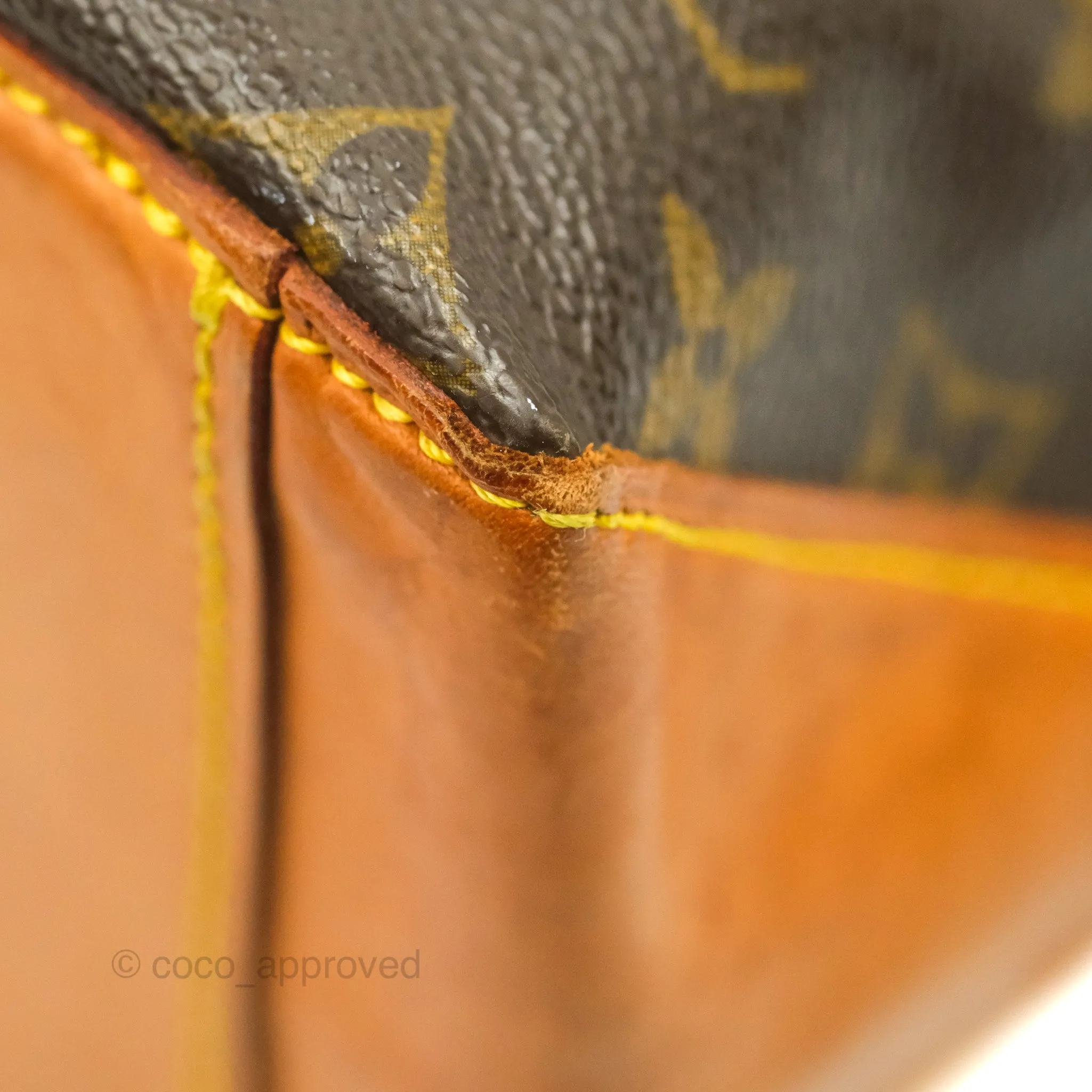 Louis Vuitton Monogram Canvas Tote Bag
