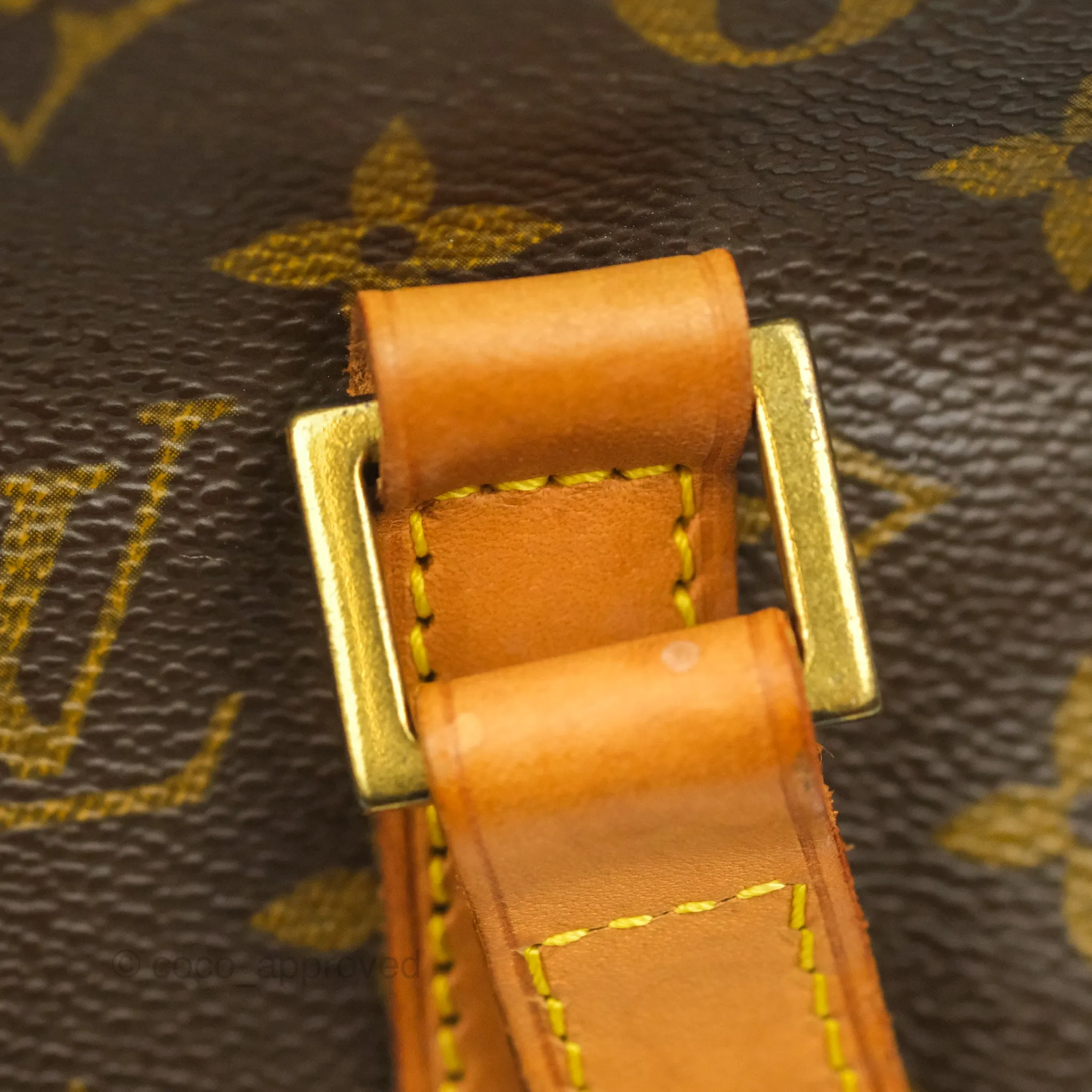 Louis Vuitton Monogram Canvas Tote Bag