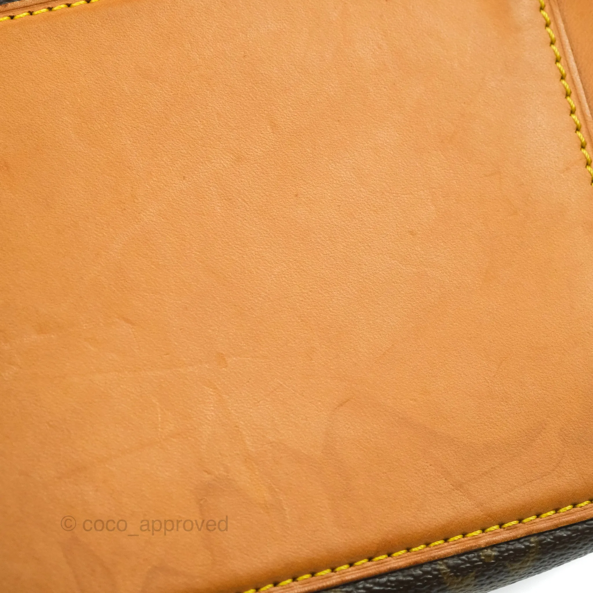 Louis Vuitton Monogram Canvas Tote Bag