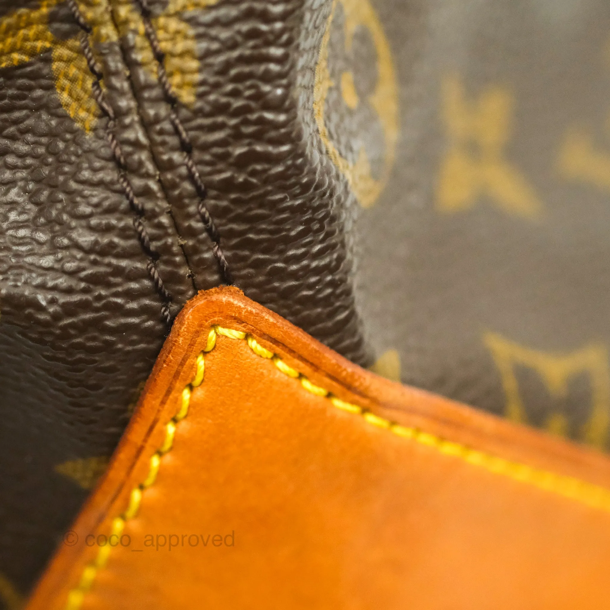 Louis Vuitton Monogram Canvas Tote Bag