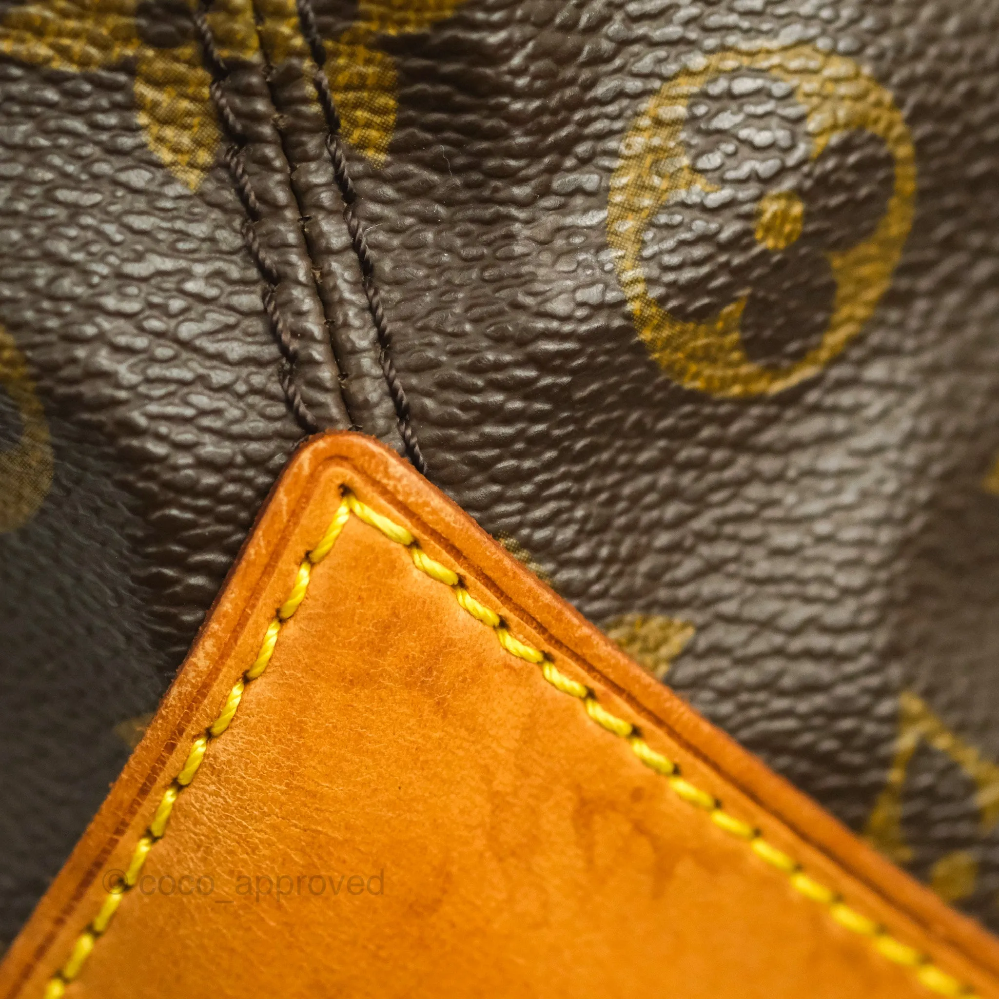 Louis Vuitton Monogram Canvas Tote Bag