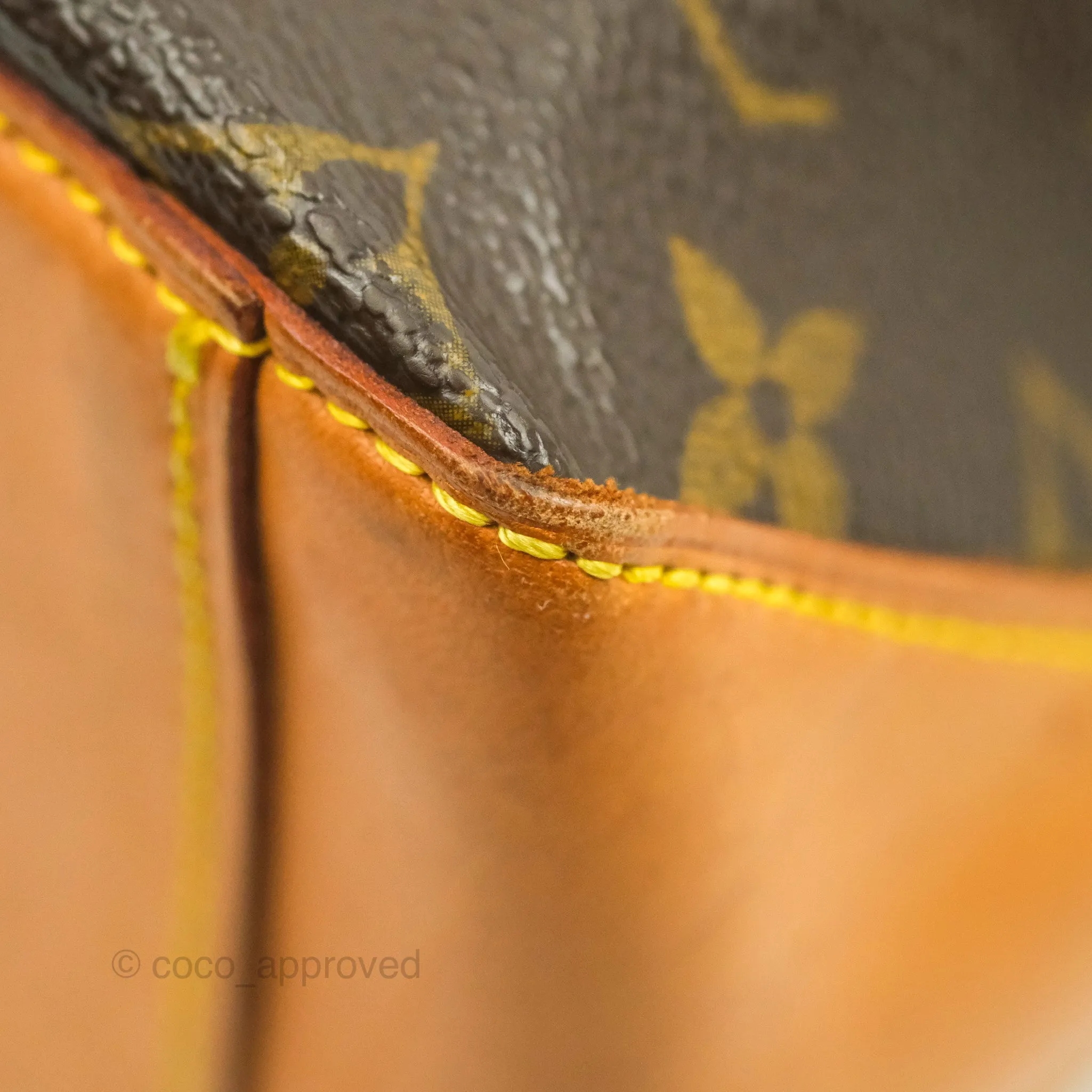 Louis Vuitton Monogram Canvas Tote Bag