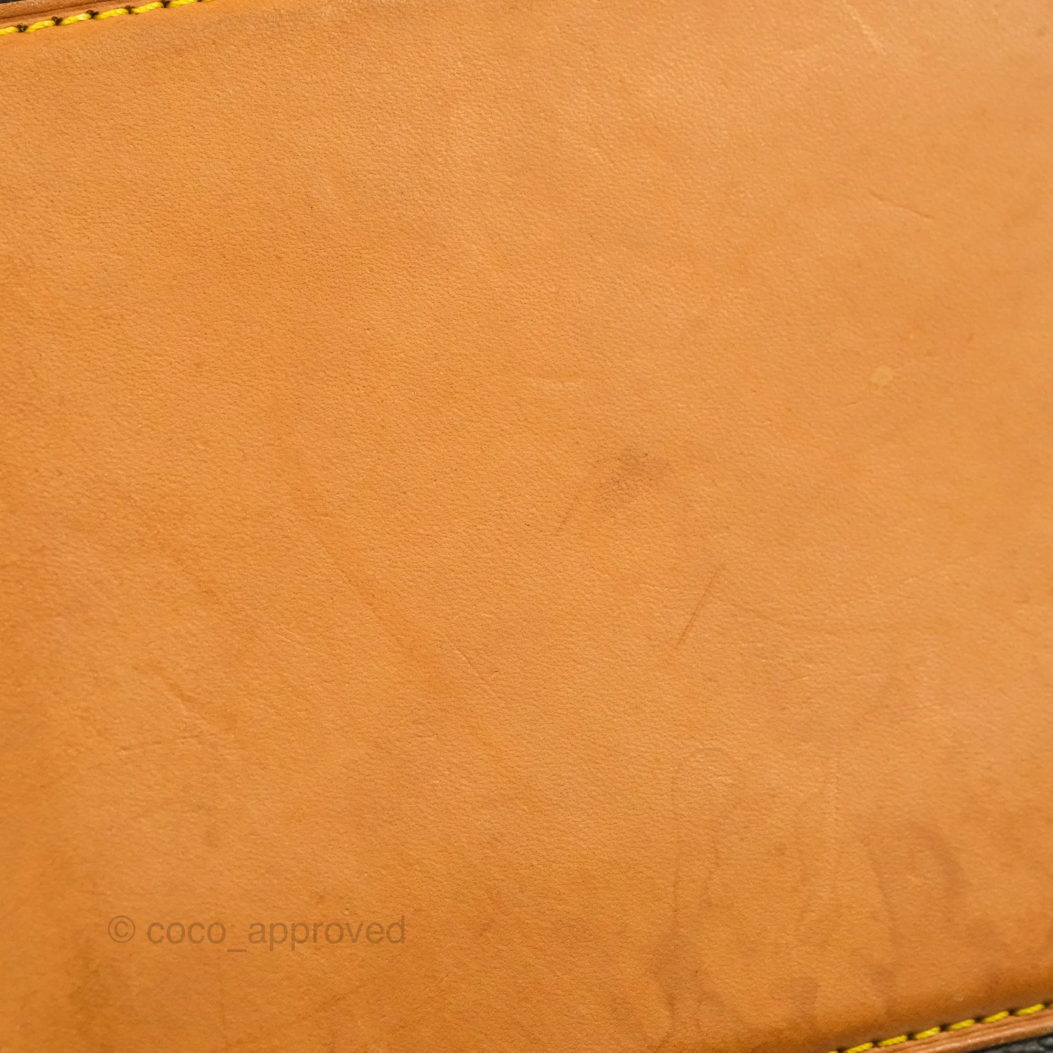 Louis Vuitton Monogram Canvas Tote Bag