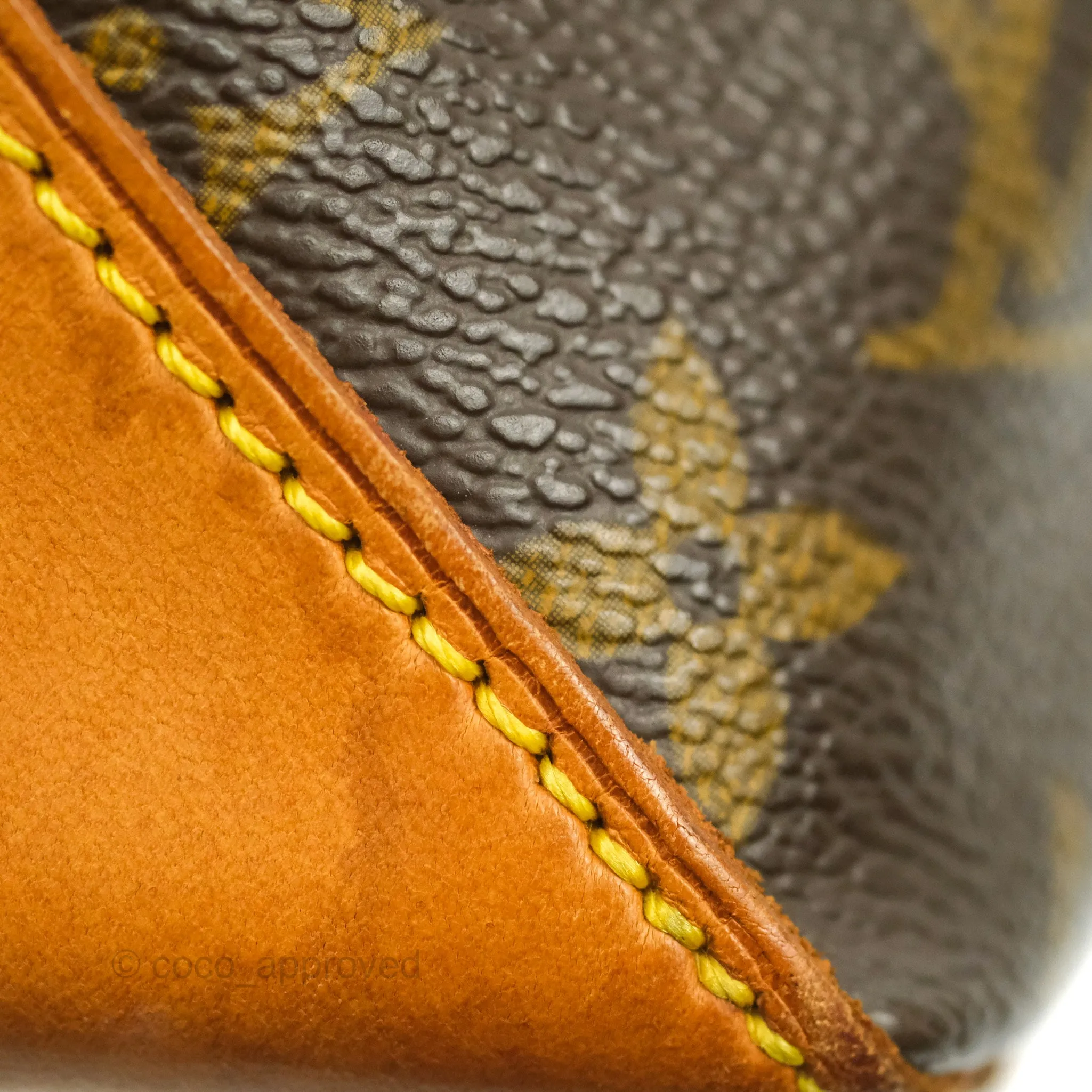 Louis Vuitton Monogram Canvas Tote Bag
