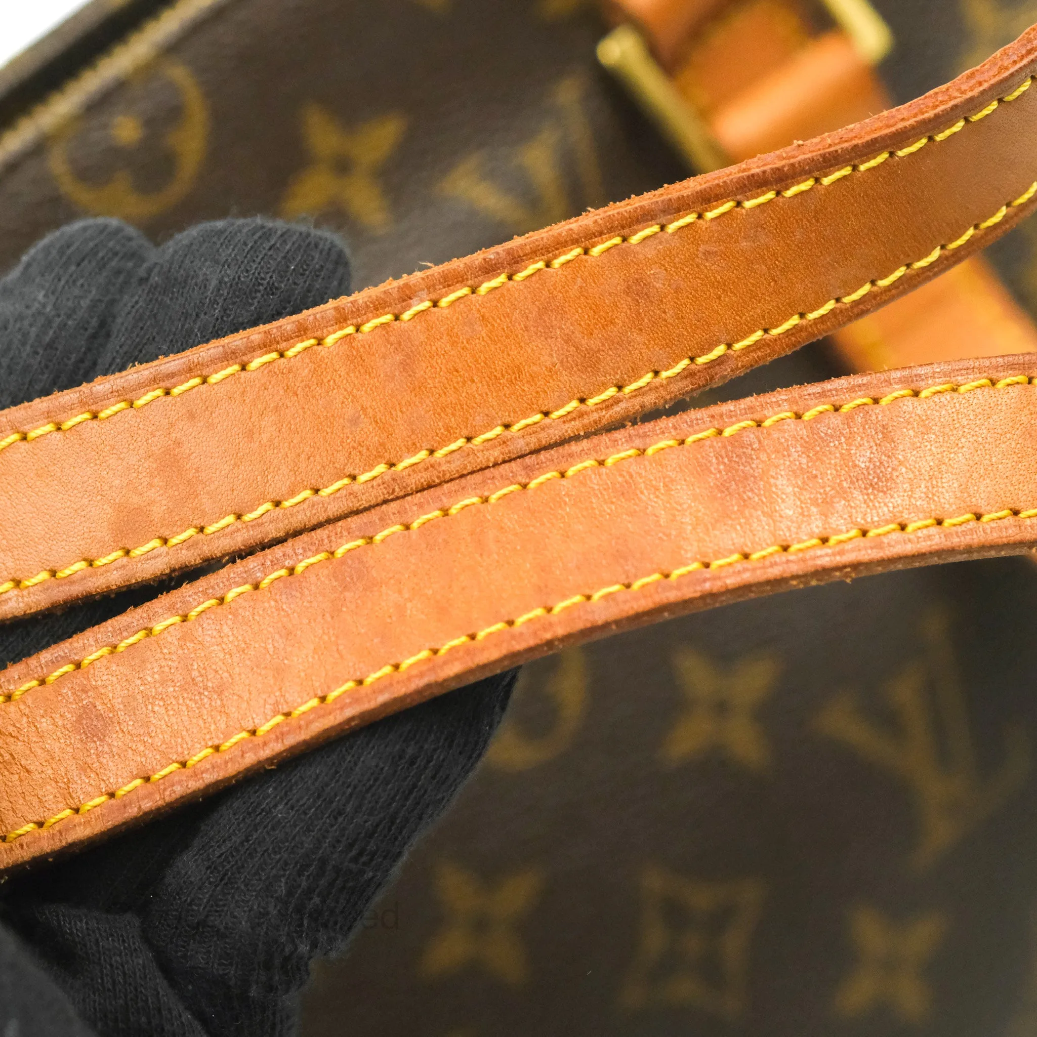 Louis Vuitton Monogram Canvas Tote Bag