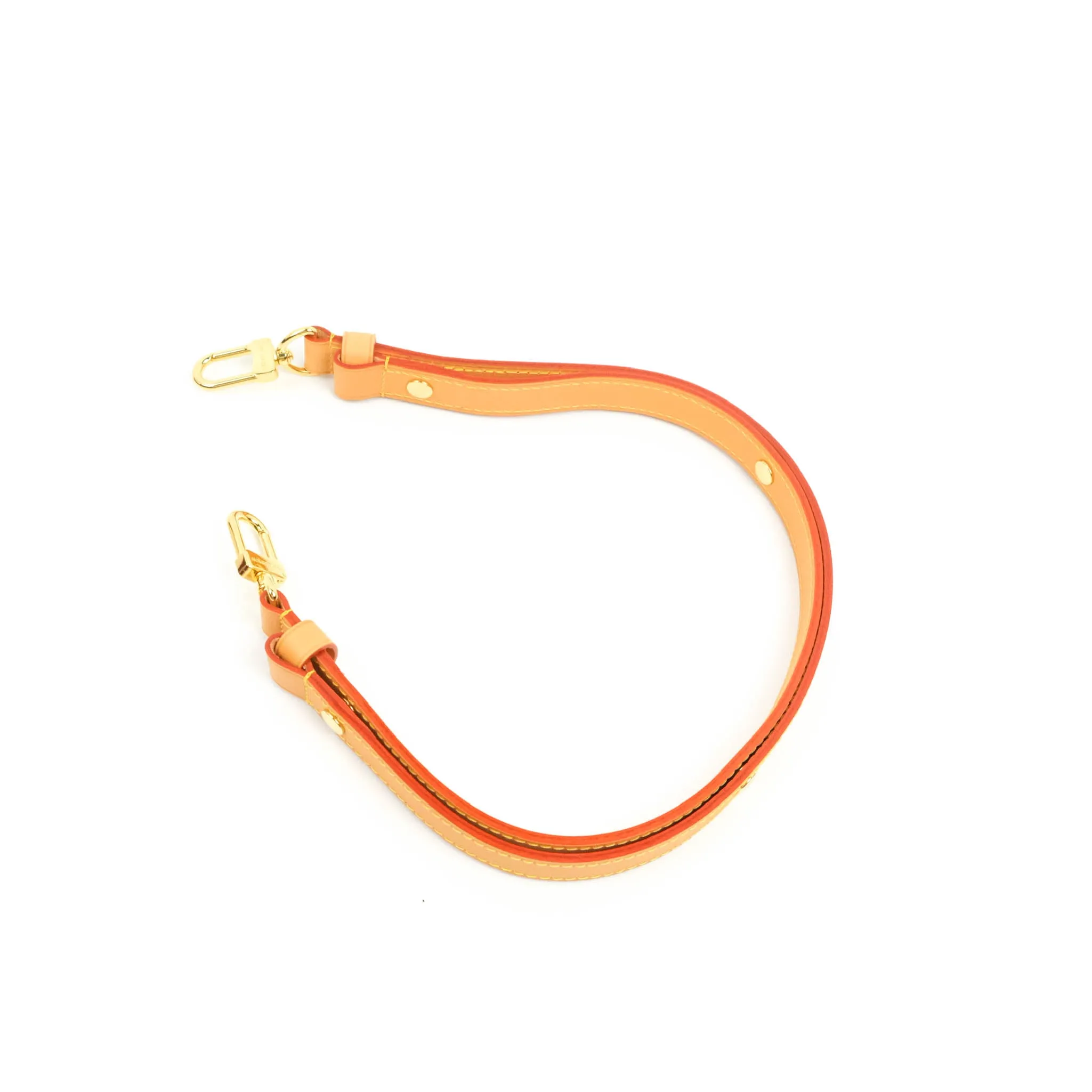 Louis Vuitton Monogram Loop