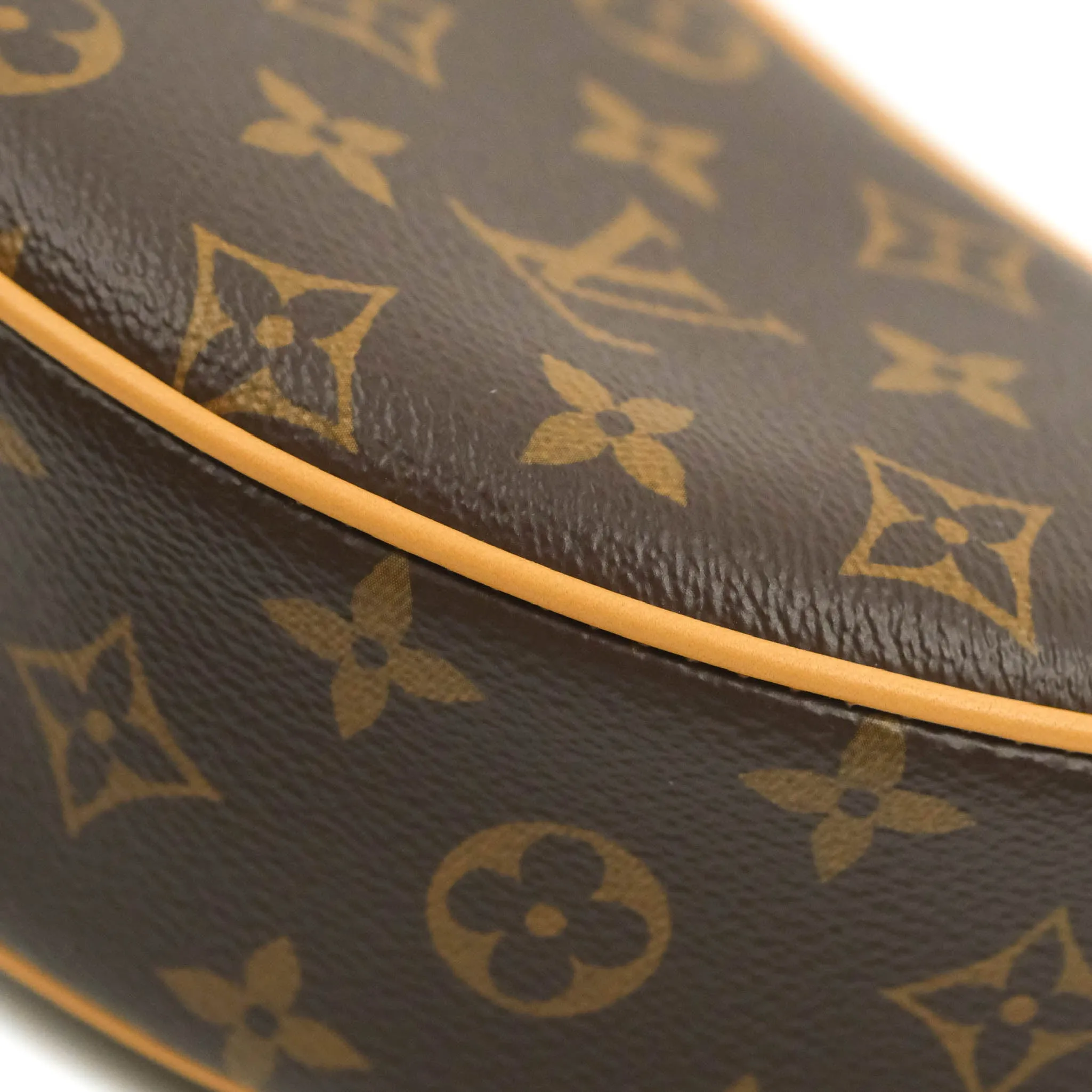 Louis Vuitton Monogram Loop
