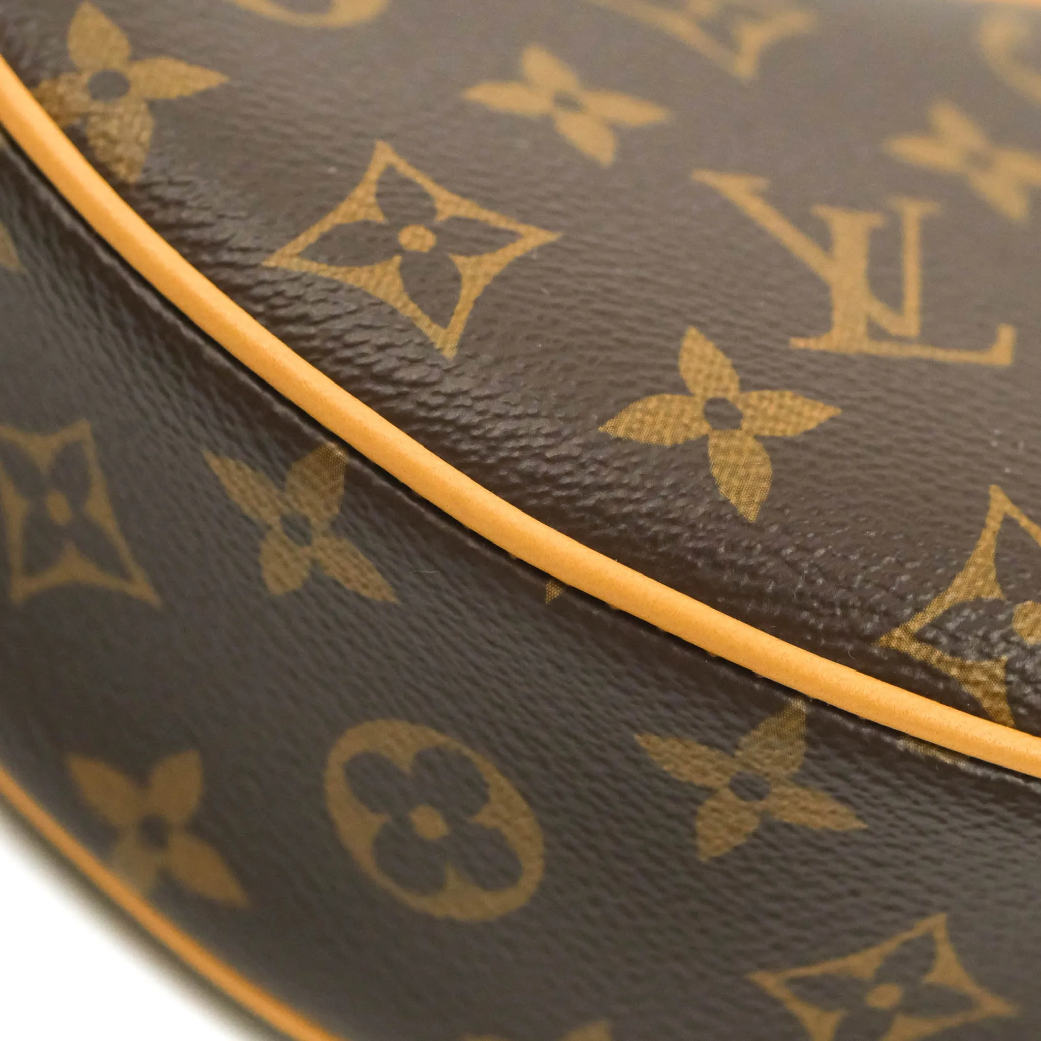 Louis Vuitton Monogram Loop