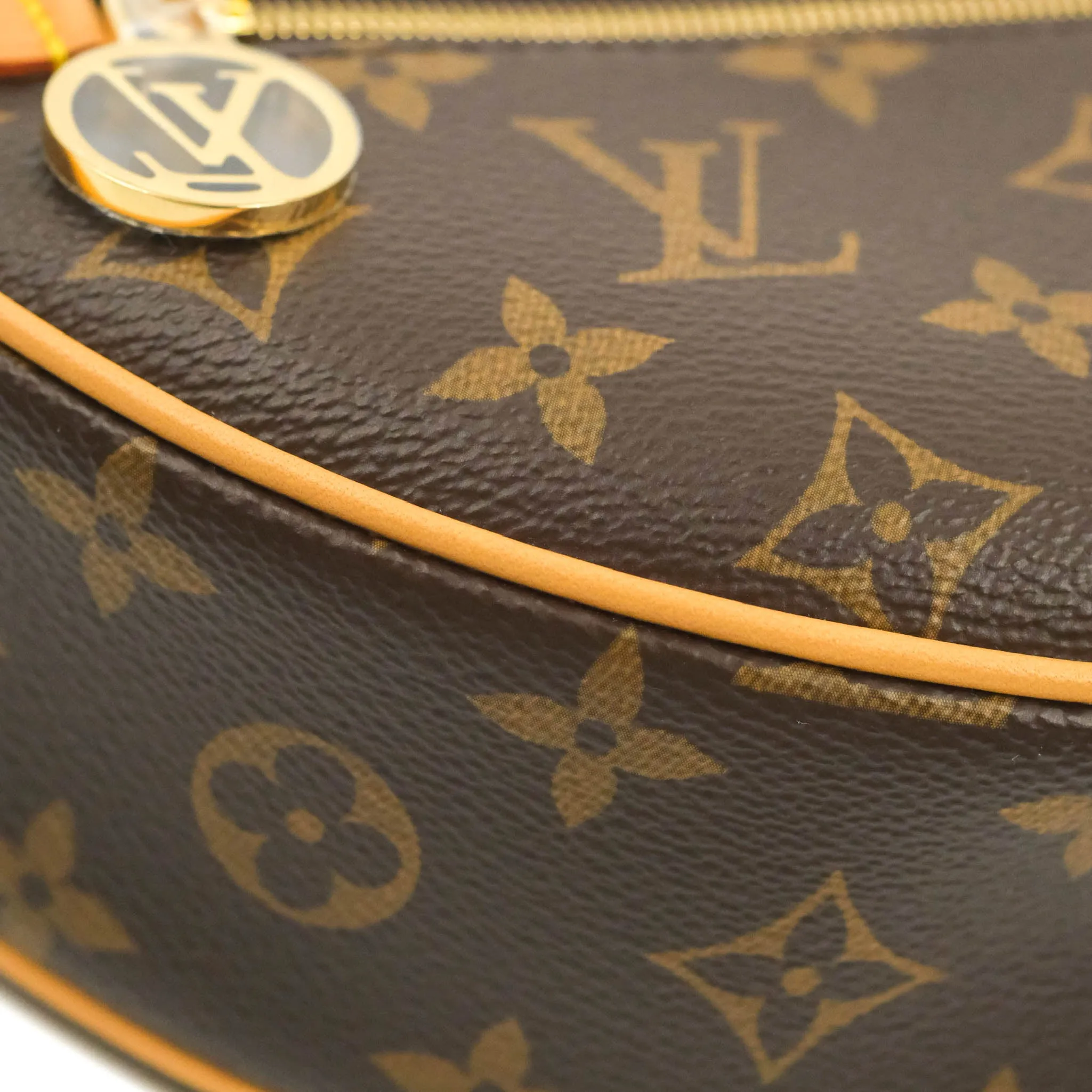 Louis Vuitton Monogram Loop