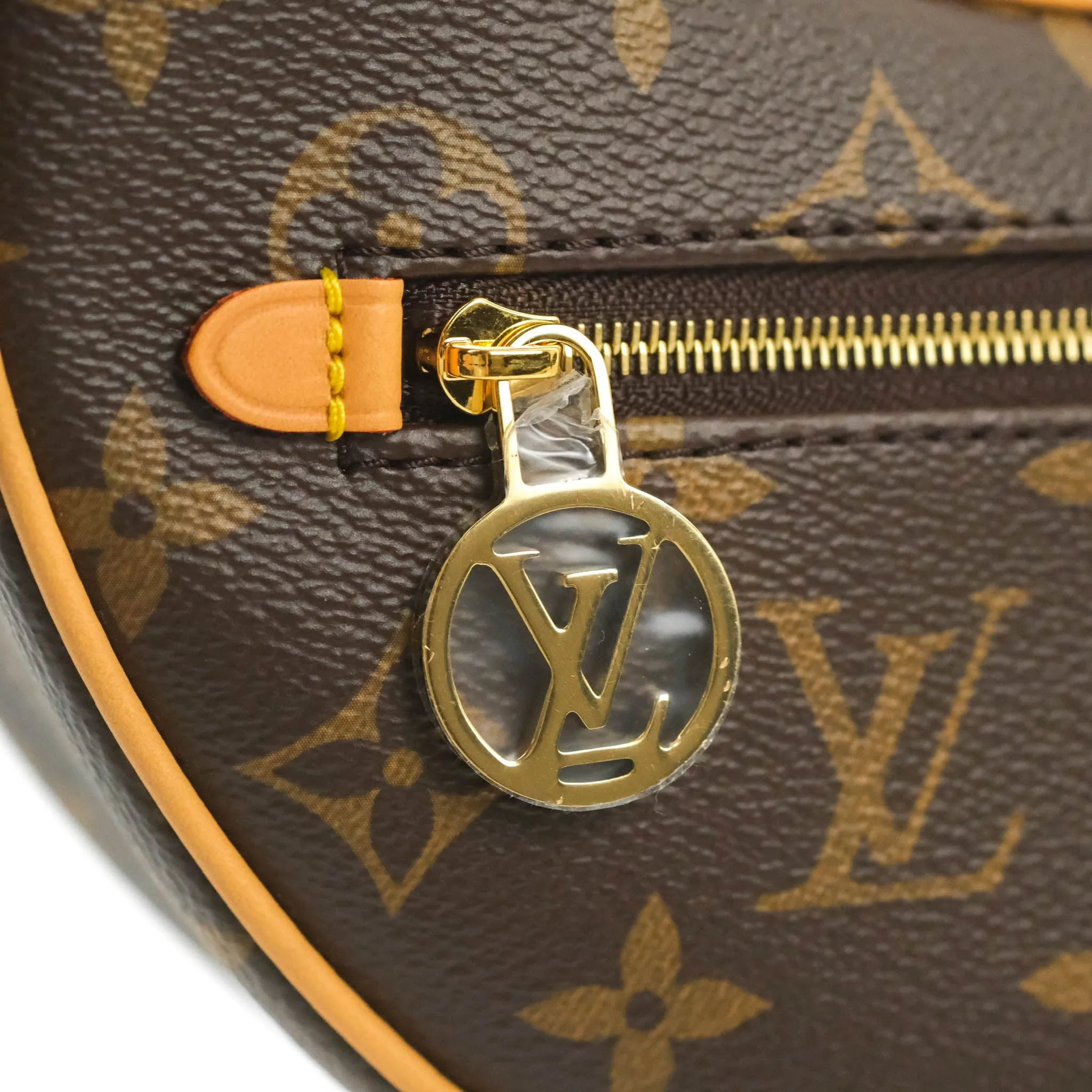 Louis Vuitton Monogram Loop
