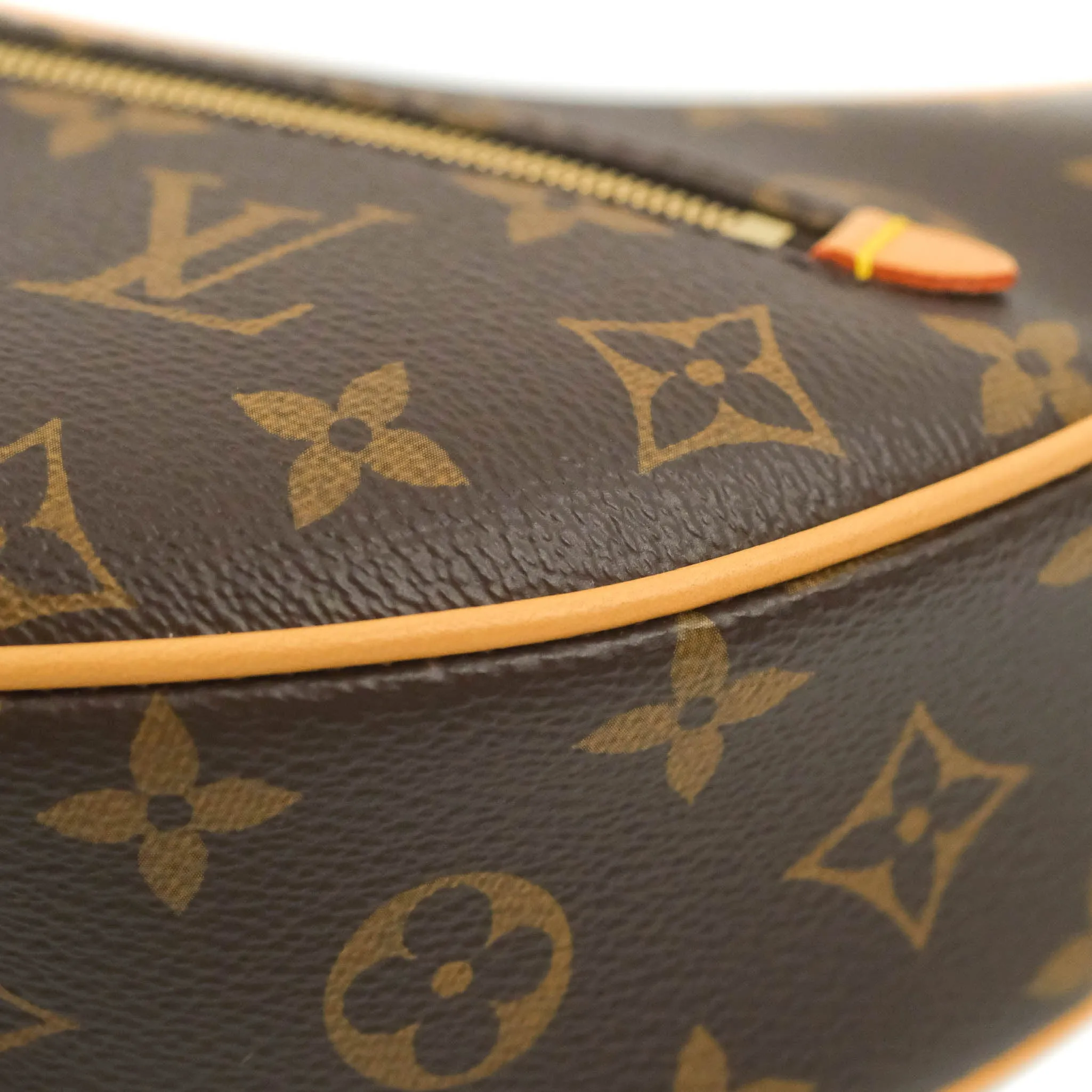 Louis Vuitton Monogram Loop