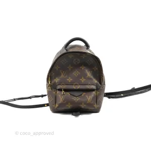 Louis Vuitton Monogram Mini Palm Springs Backpack