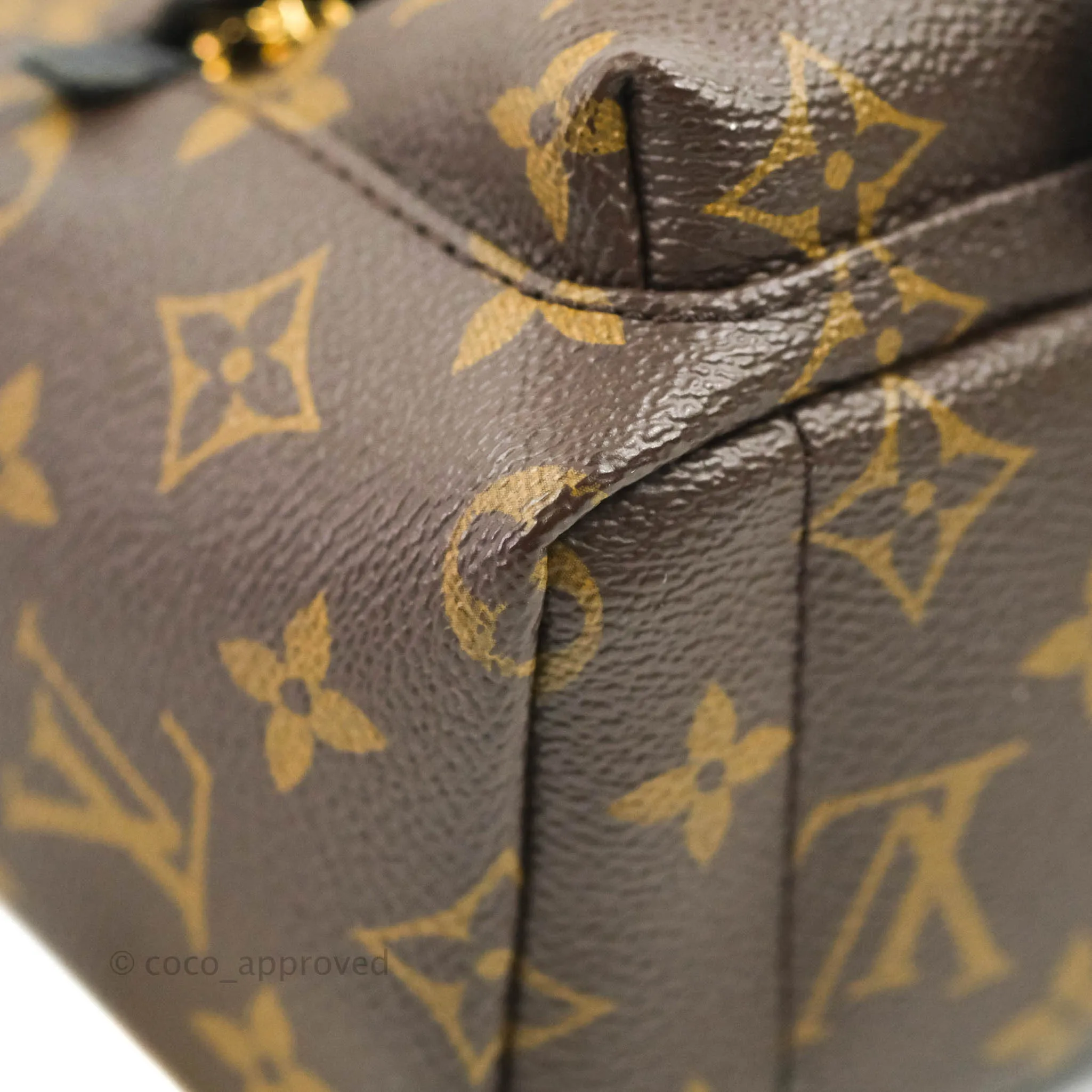 Louis Vuitton Monogram Mini Palm Springs Backpack