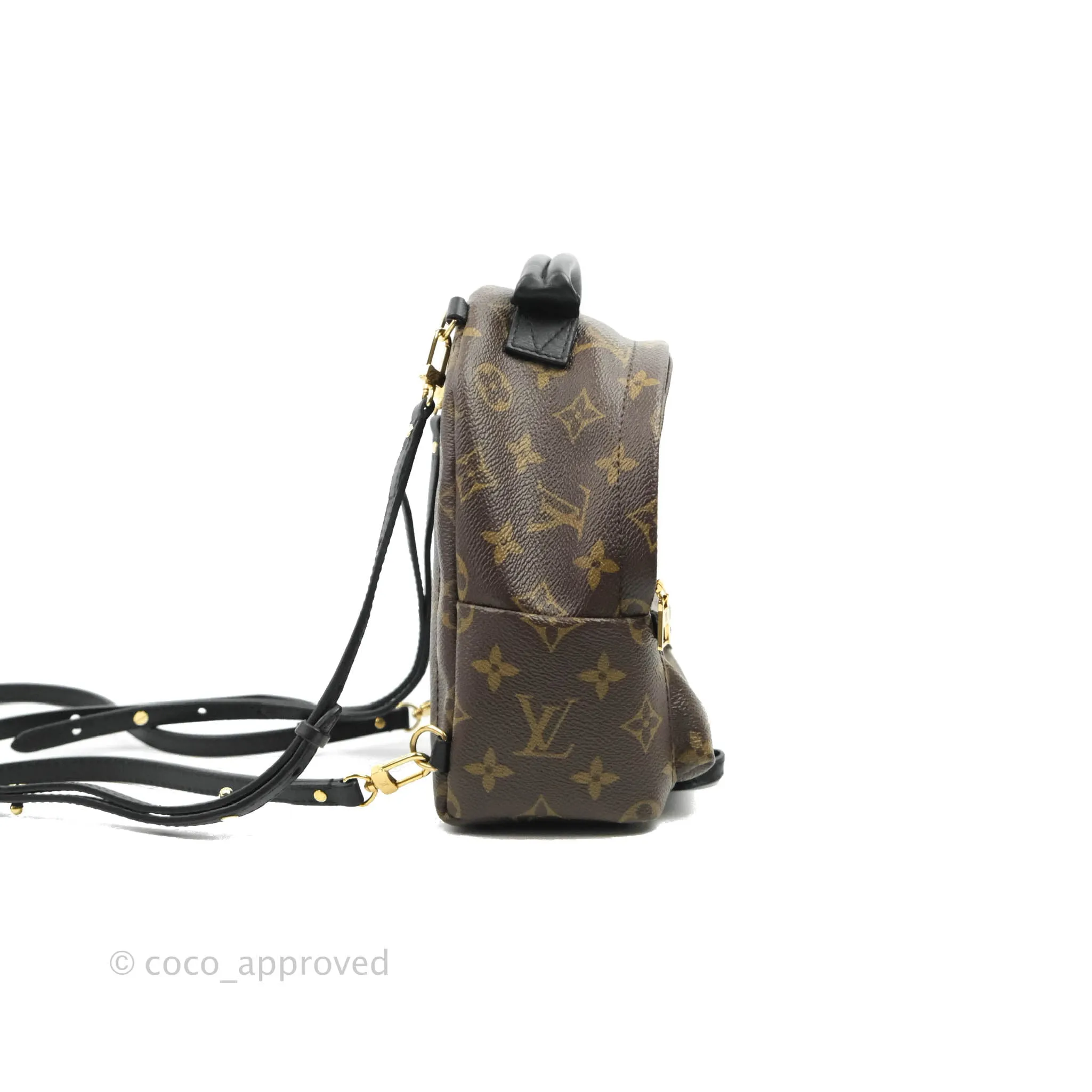 Louis Vuitton Monogram Mini Palm Springs Backpack
