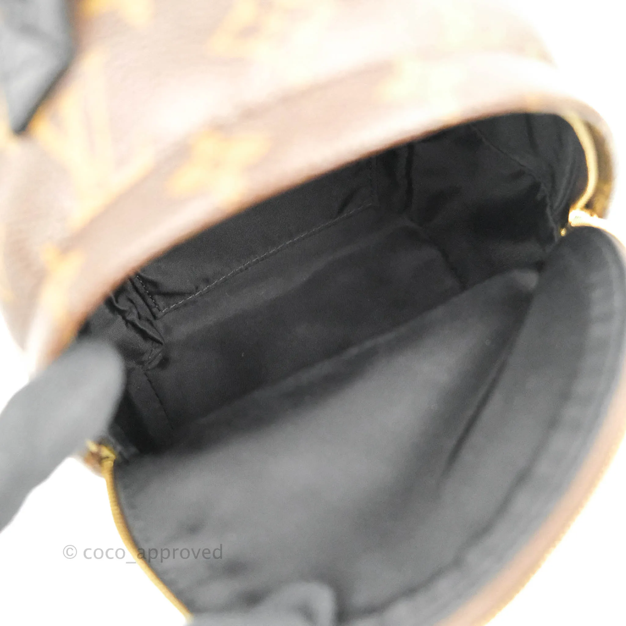 Louis Vuitton Monogram Mini Palm Springs Backpack