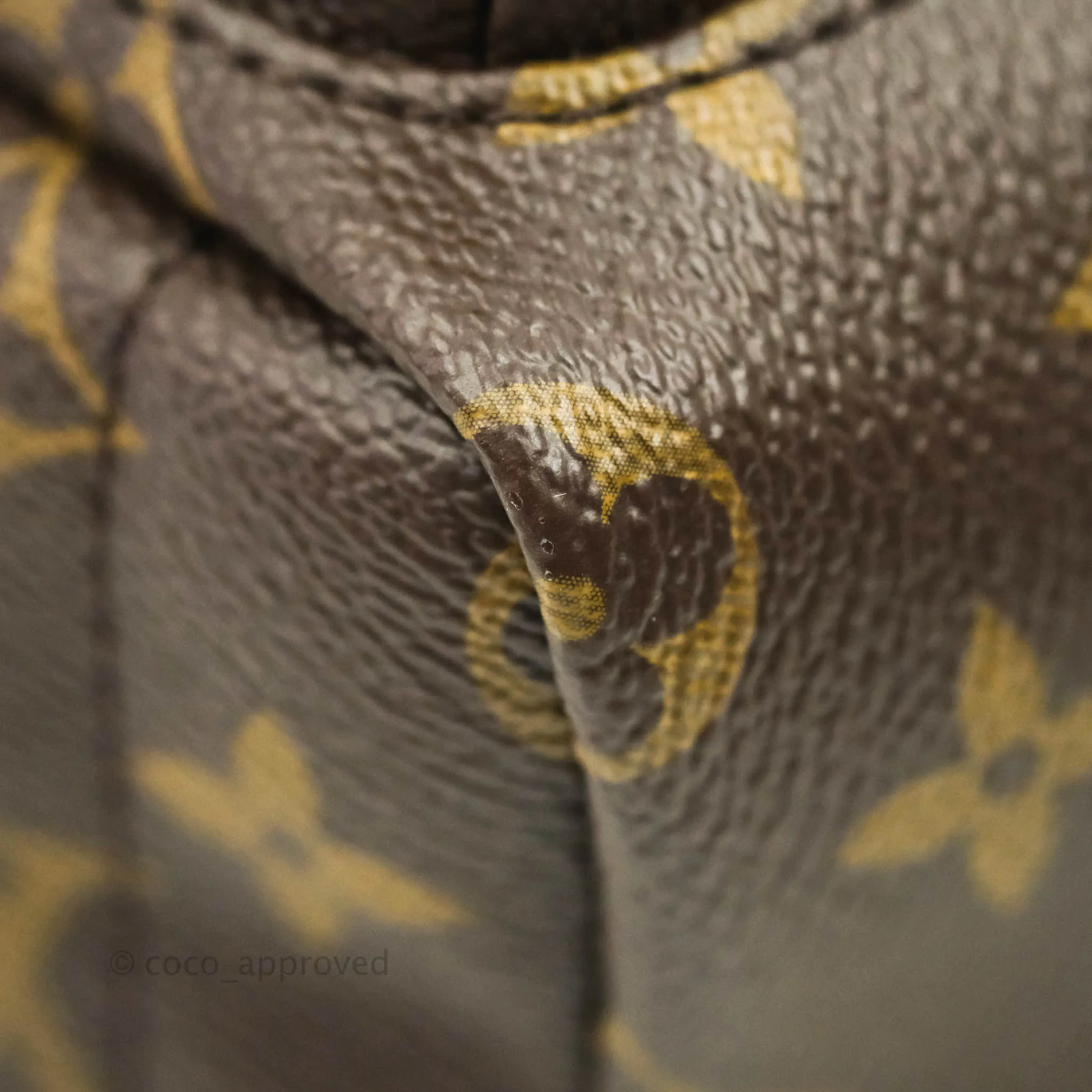 Louis Vuitton Monogram Mini Palm Springs Backpack