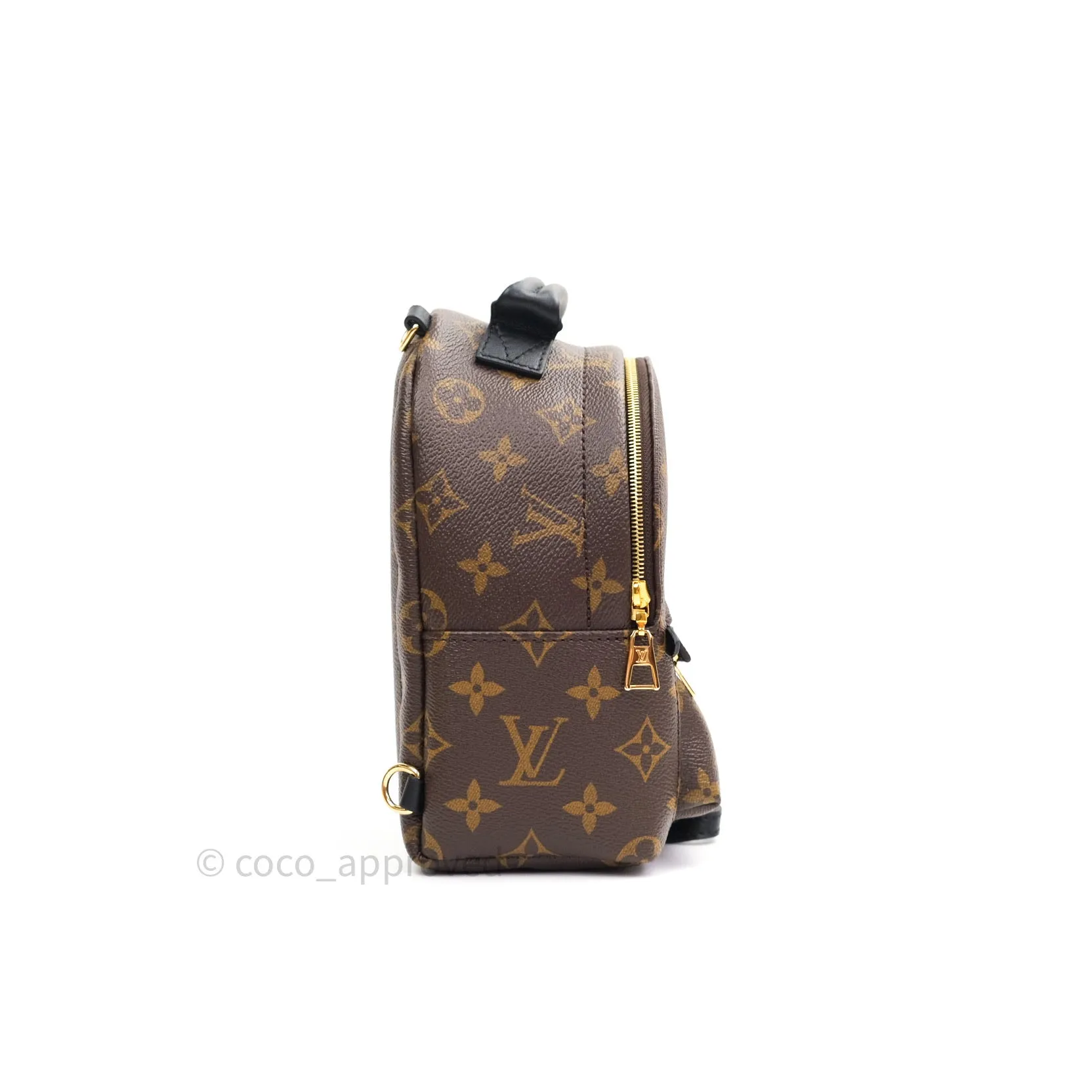 Louis Vuitton Monogram Mini Palm Springs Backpack