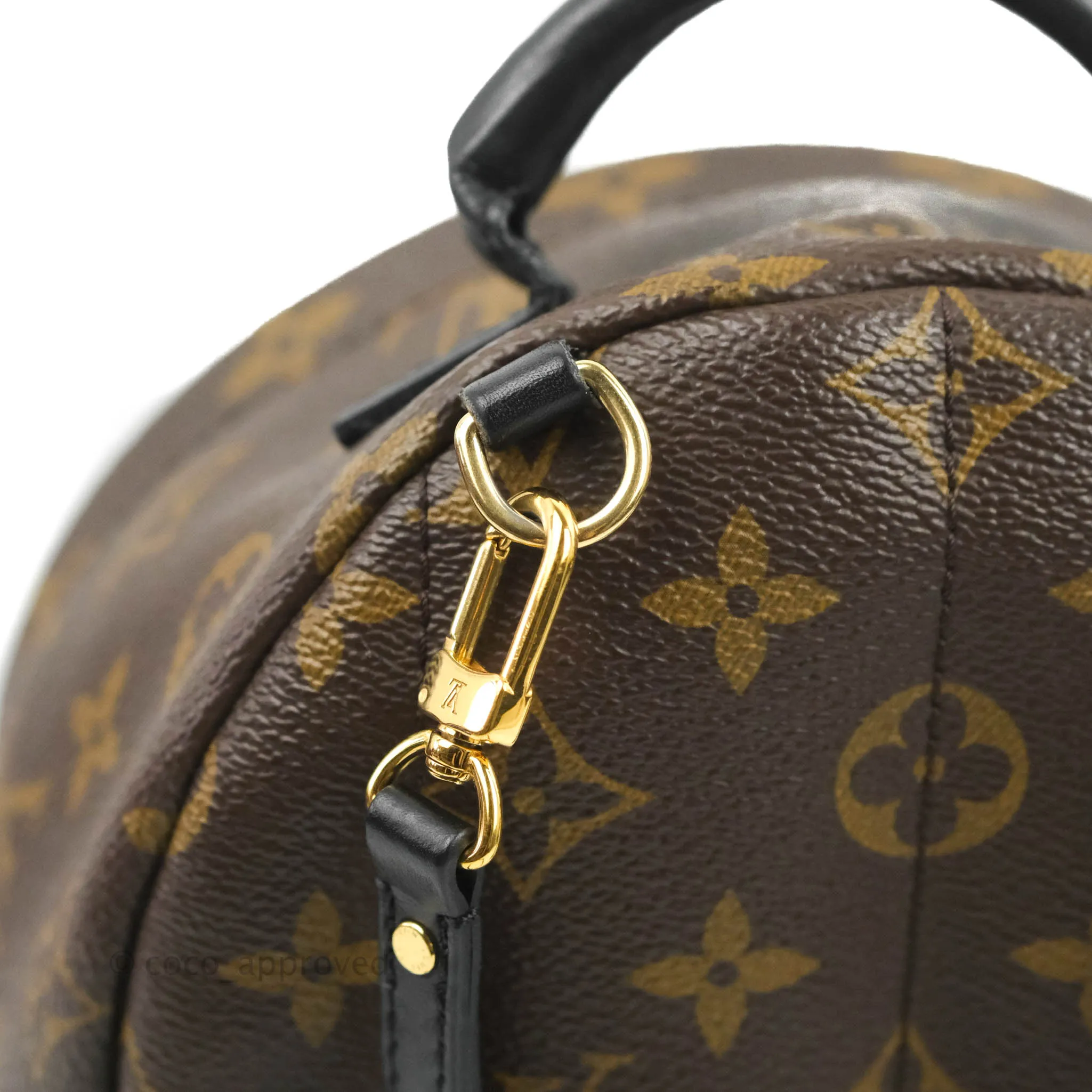 Louis Vuitton Monogram Mini Palm Springs Backpack