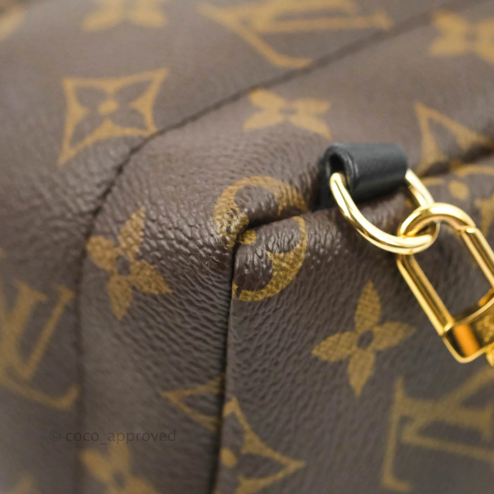 Louis Vuitton Monogram Mini Palm Springs Backpack