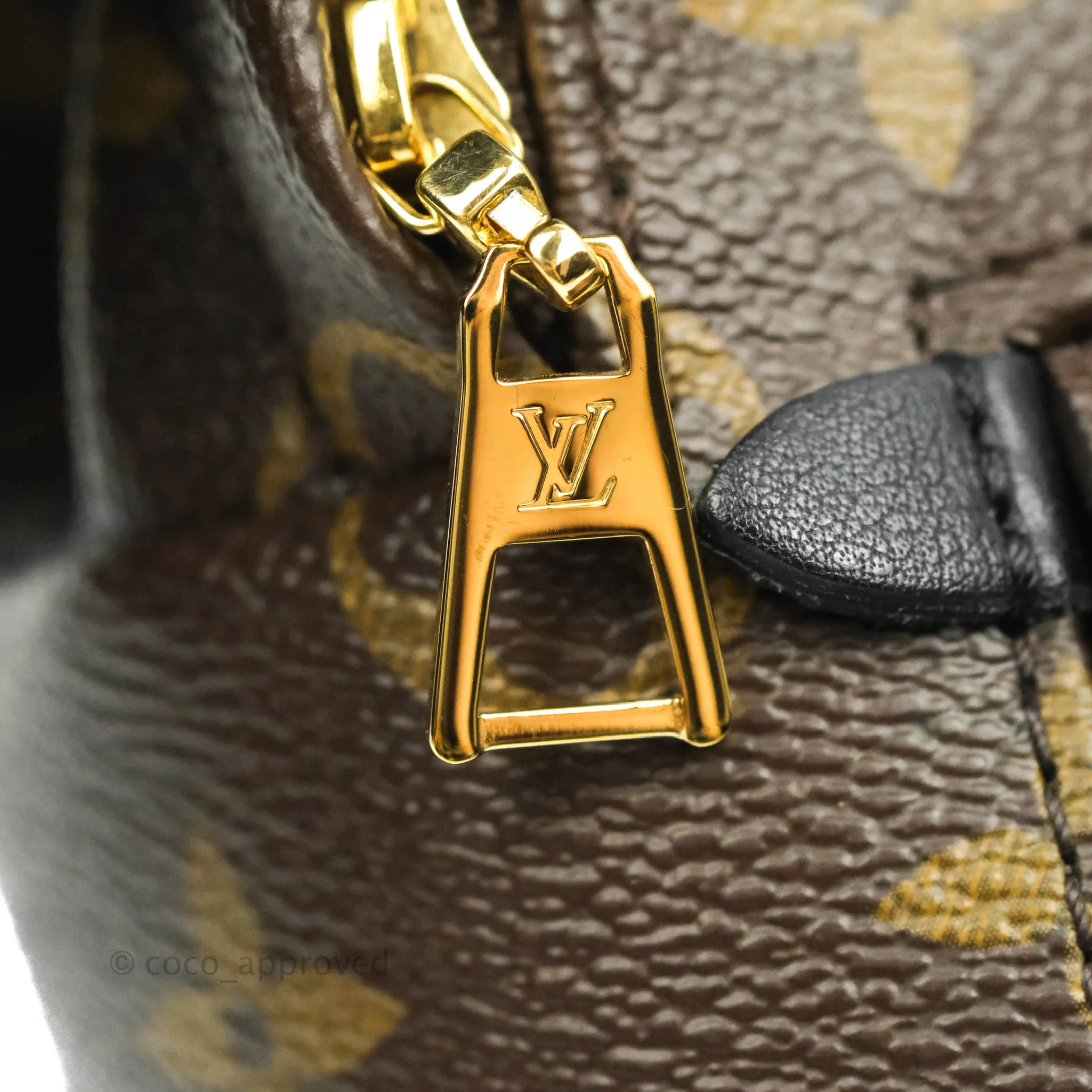 Louis Vuitton Monogram Mini Palm Springs Backpack