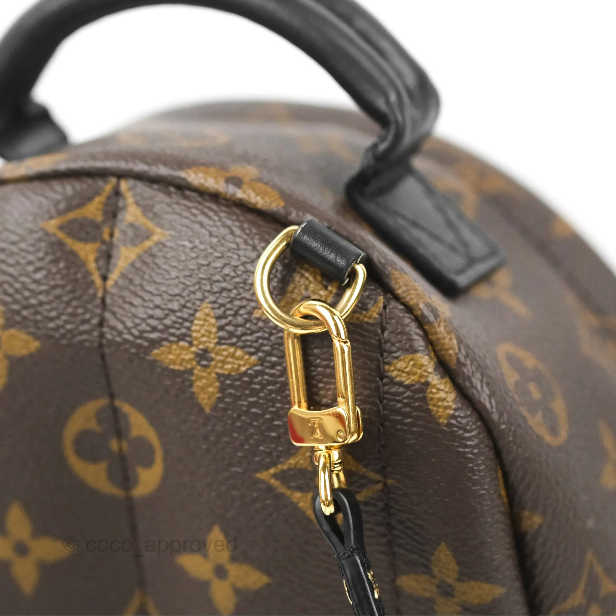 Louis Vuitton Monogram Mini Palm Springs Backpack